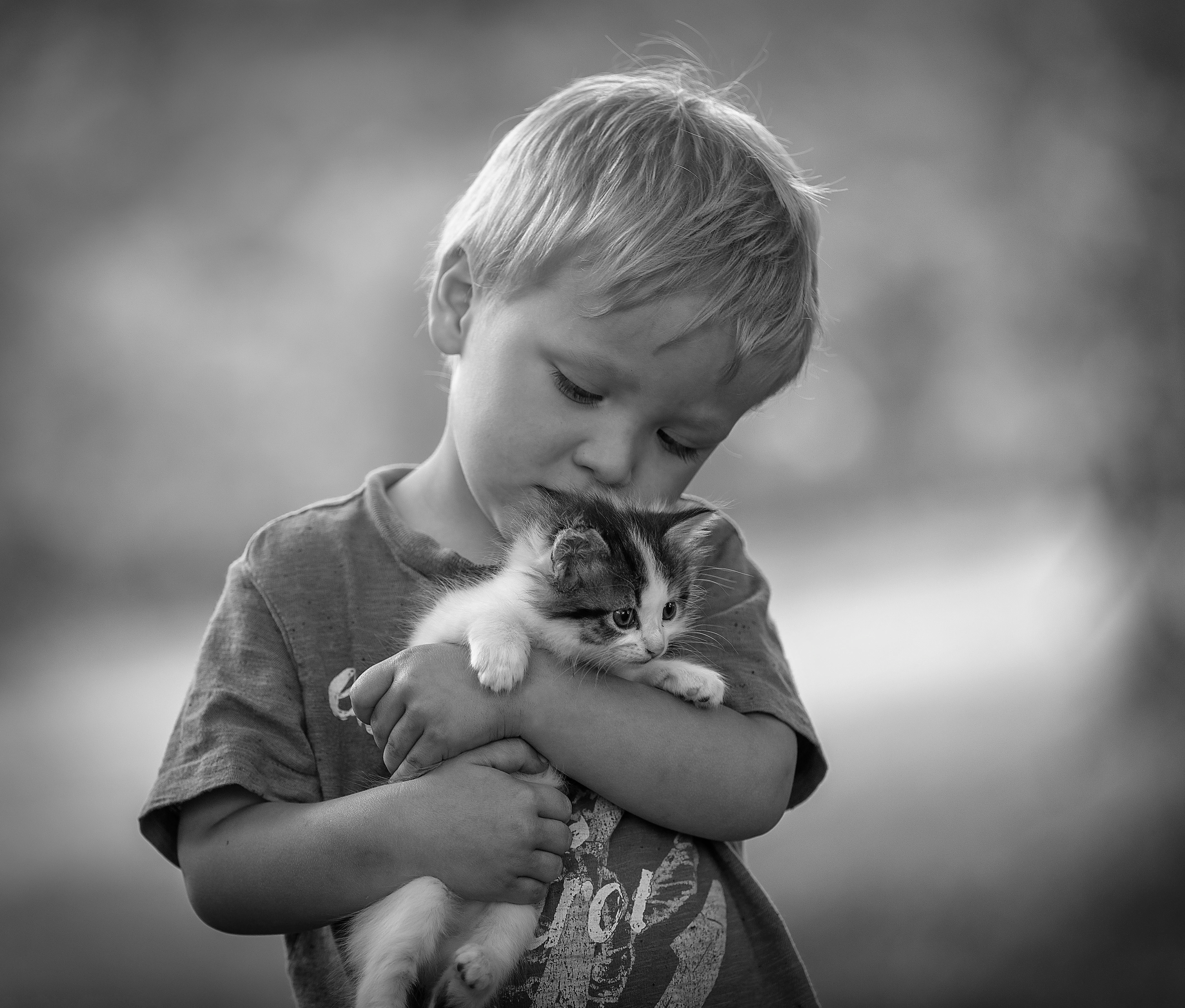 Доброта картинки. Котенок мальчик. Для детей. Животные. Котёнок-ребёнок. Мальчик обнимает котика.
