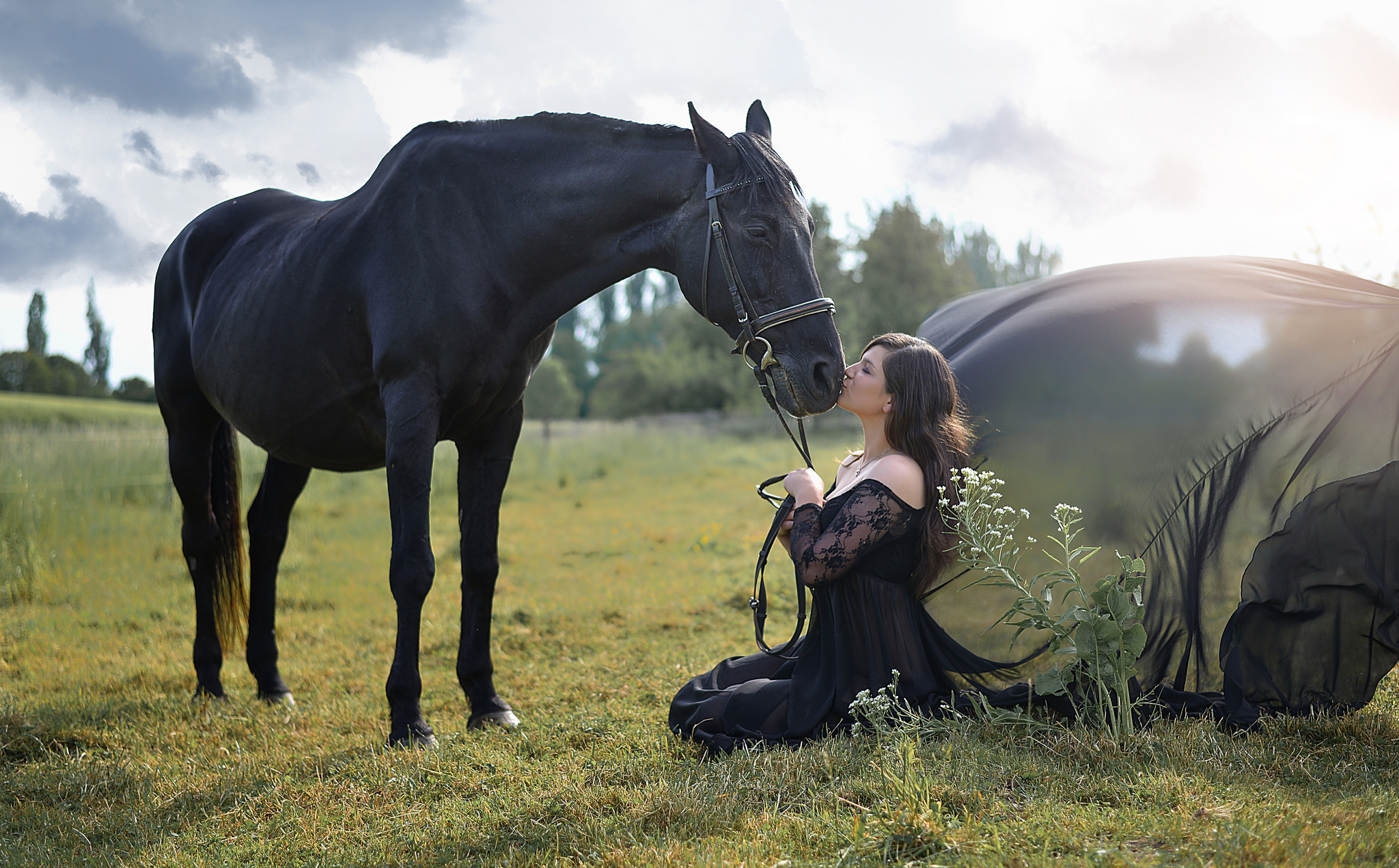 Девки и лошади. Фотосессия с лошадьми. Фотосессия с лошадьми на природе. Девушка на коне. Фотосет с лошадью.
