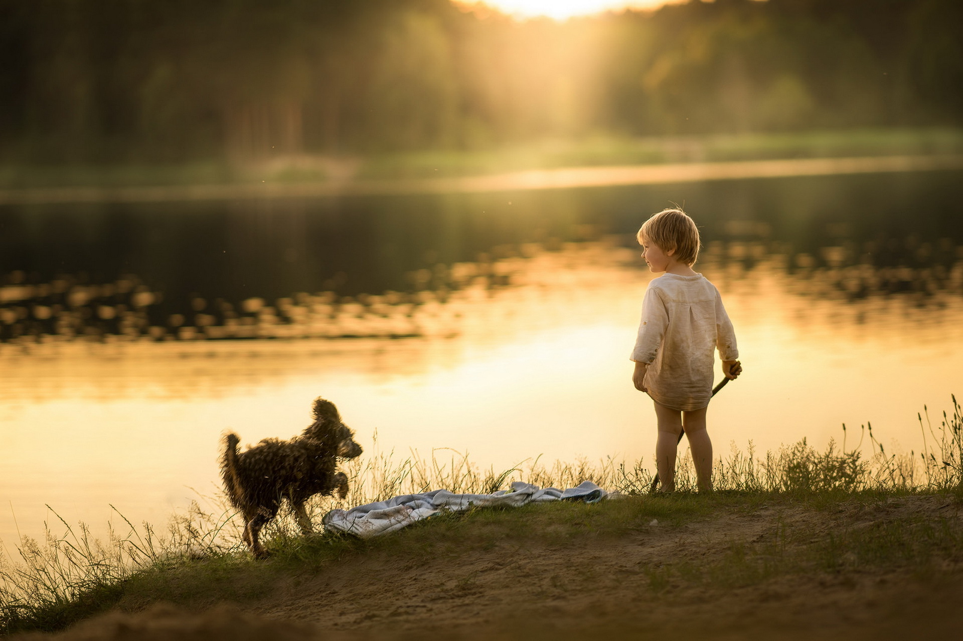 Мальчик на берегу озера. Дети на берегу реки. Собака на природе. Дети на берегу речки.