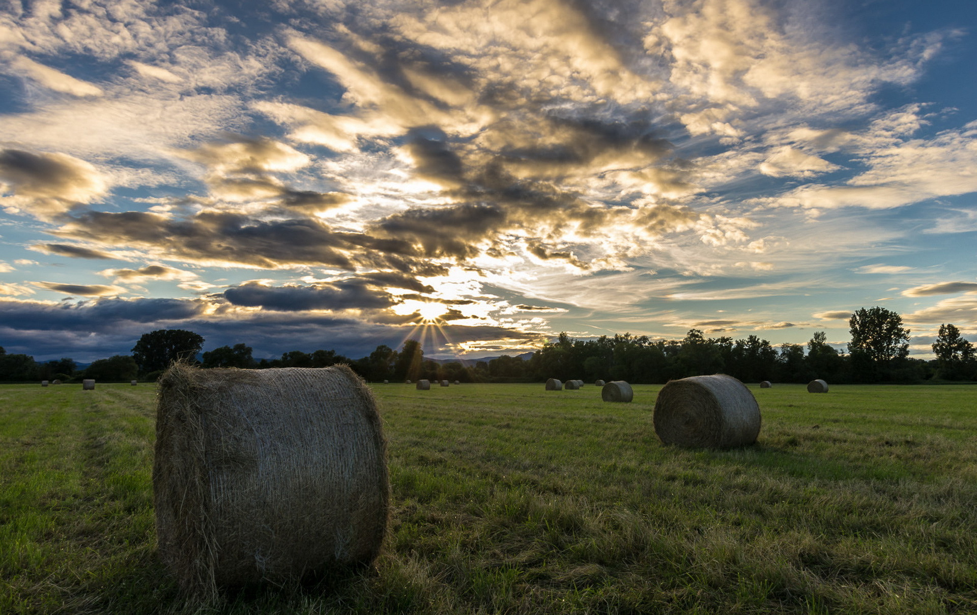 Обои природа, поле, сено, лето, тюки, рулоны, nature, field, hay, summer, bales, rolls разрешение 1920x1209 Загрузить