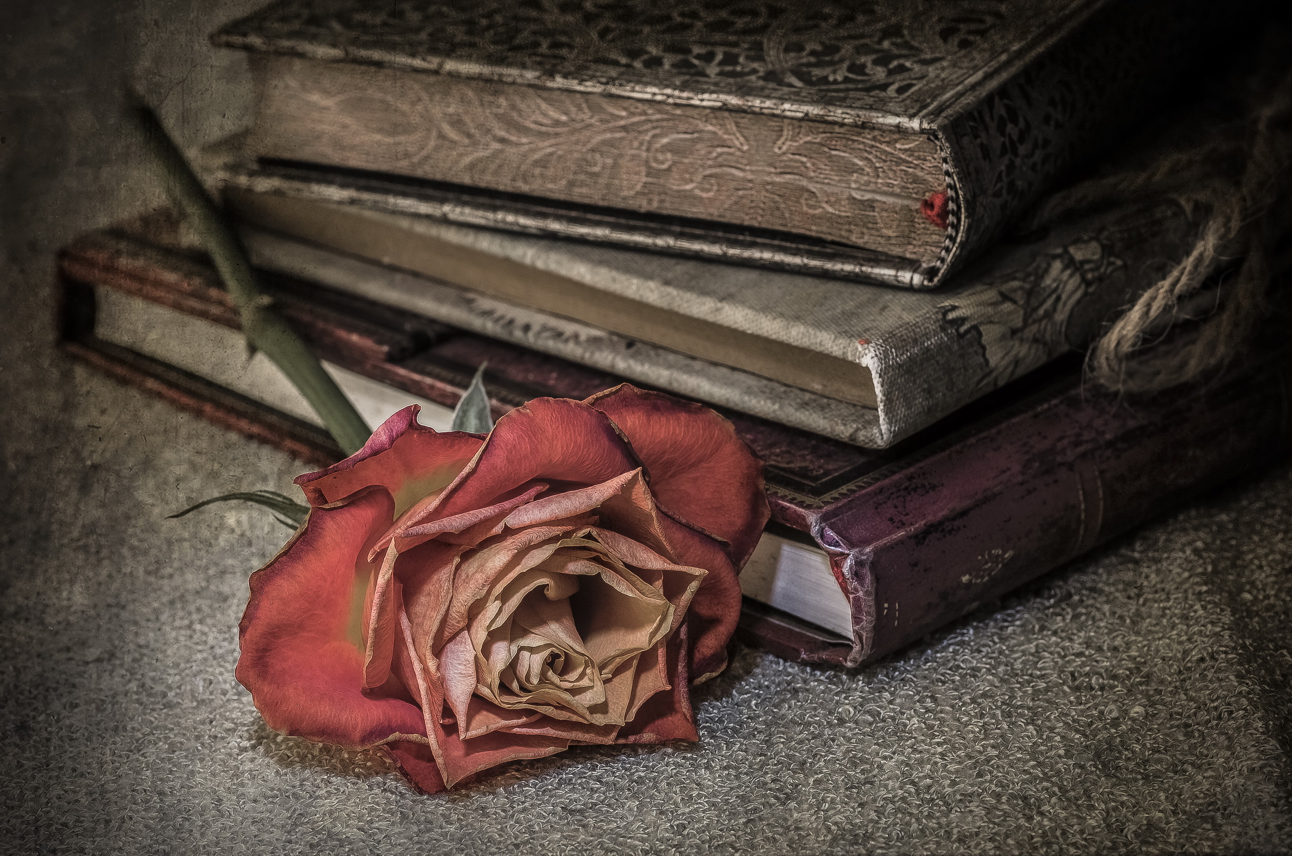 Обои фон, роза, книги, background, rose, books разрешение 2560x1696 Загрузить
