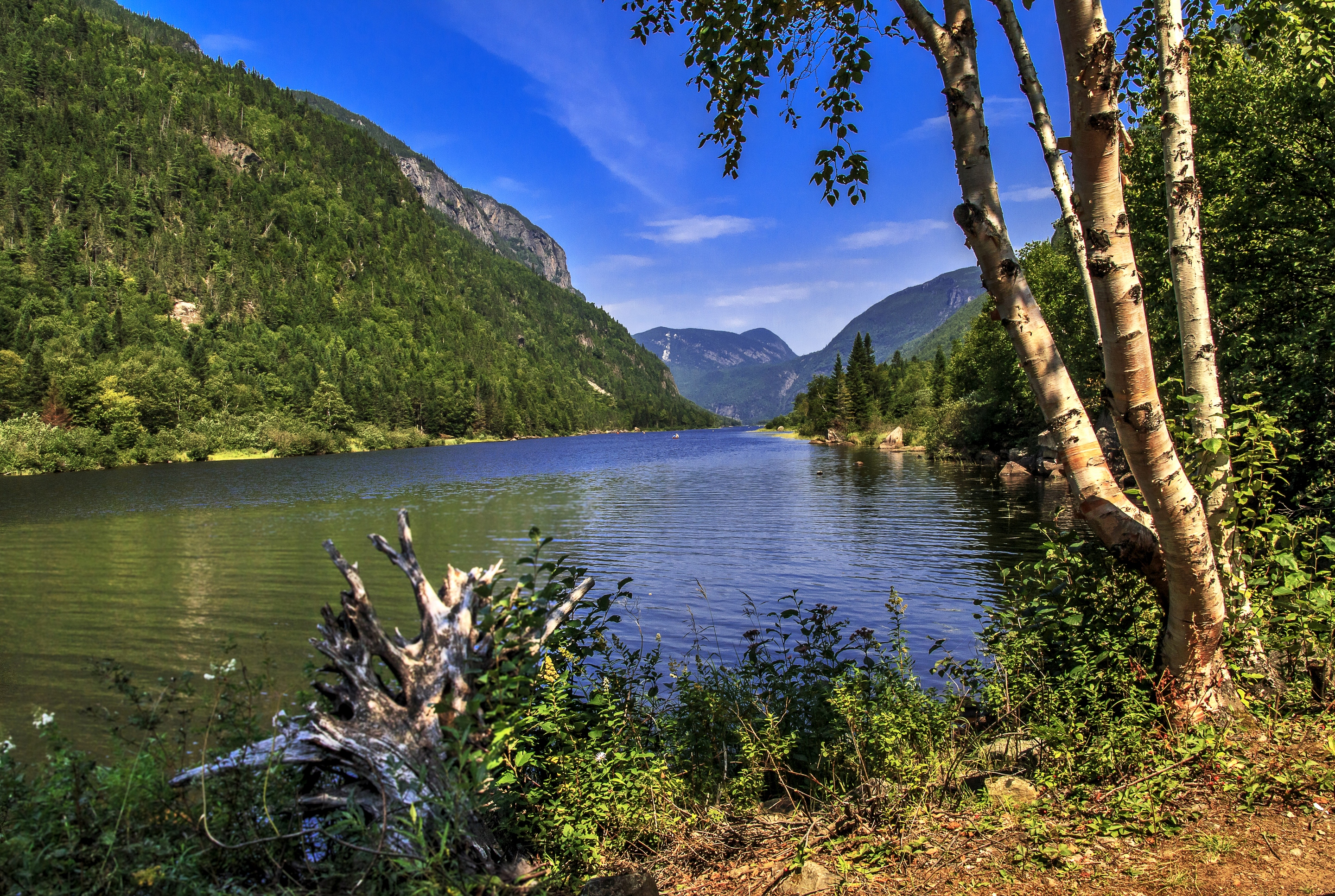 Обои трава, hautes-gorges-de-la-riviere-malbaie national, деревья, река, горы, камни, берег, лес, канада, grass, trees, river, mountains, stones, shore, forest, canada разрешение 2880x1933 Загрузить