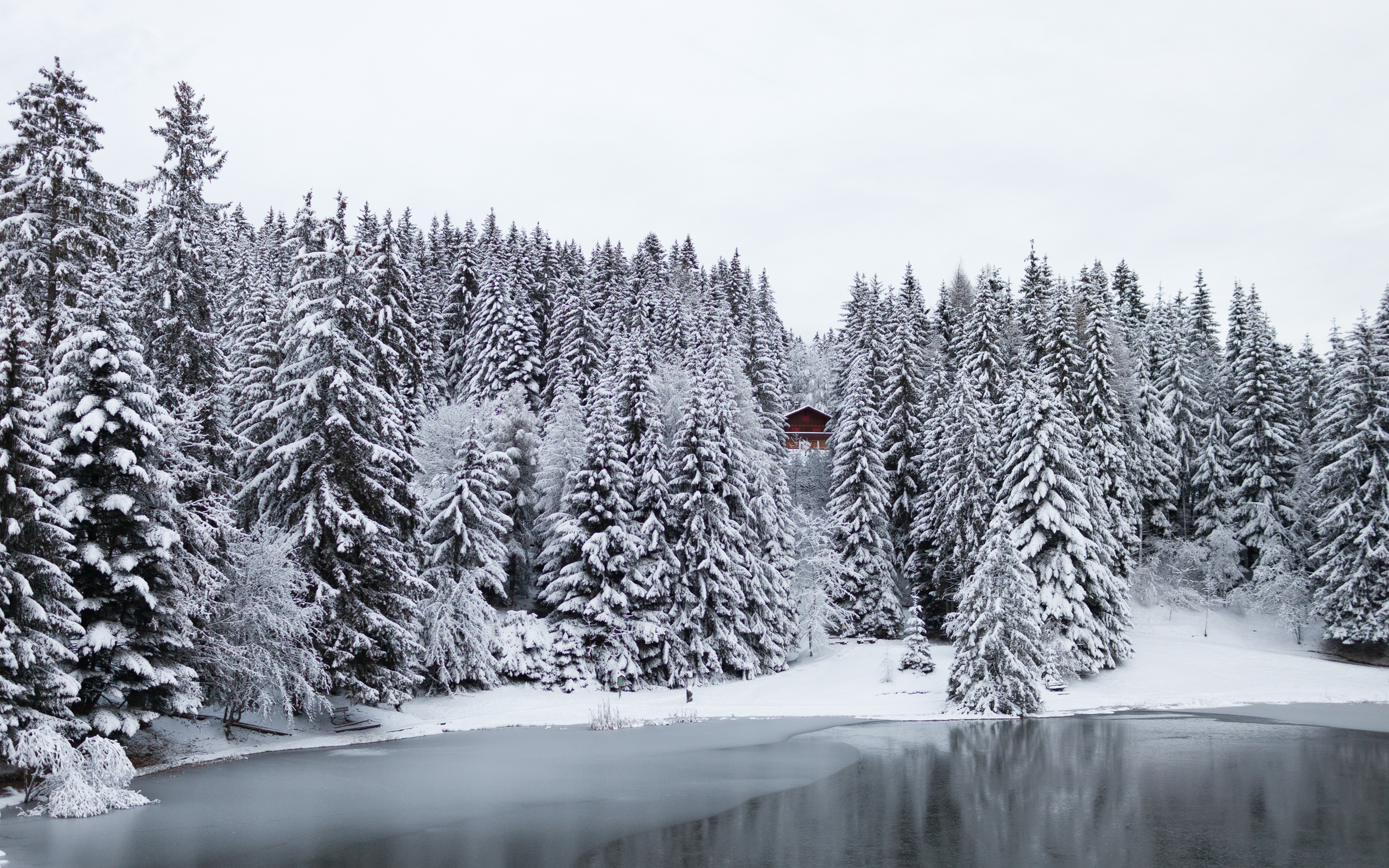 Обои деревья, озеро, снег, лес, зима, швейцария, домик, trees, lake, snow, forest, winter, switzerland, house разрешение 2560x1600 Загрузить