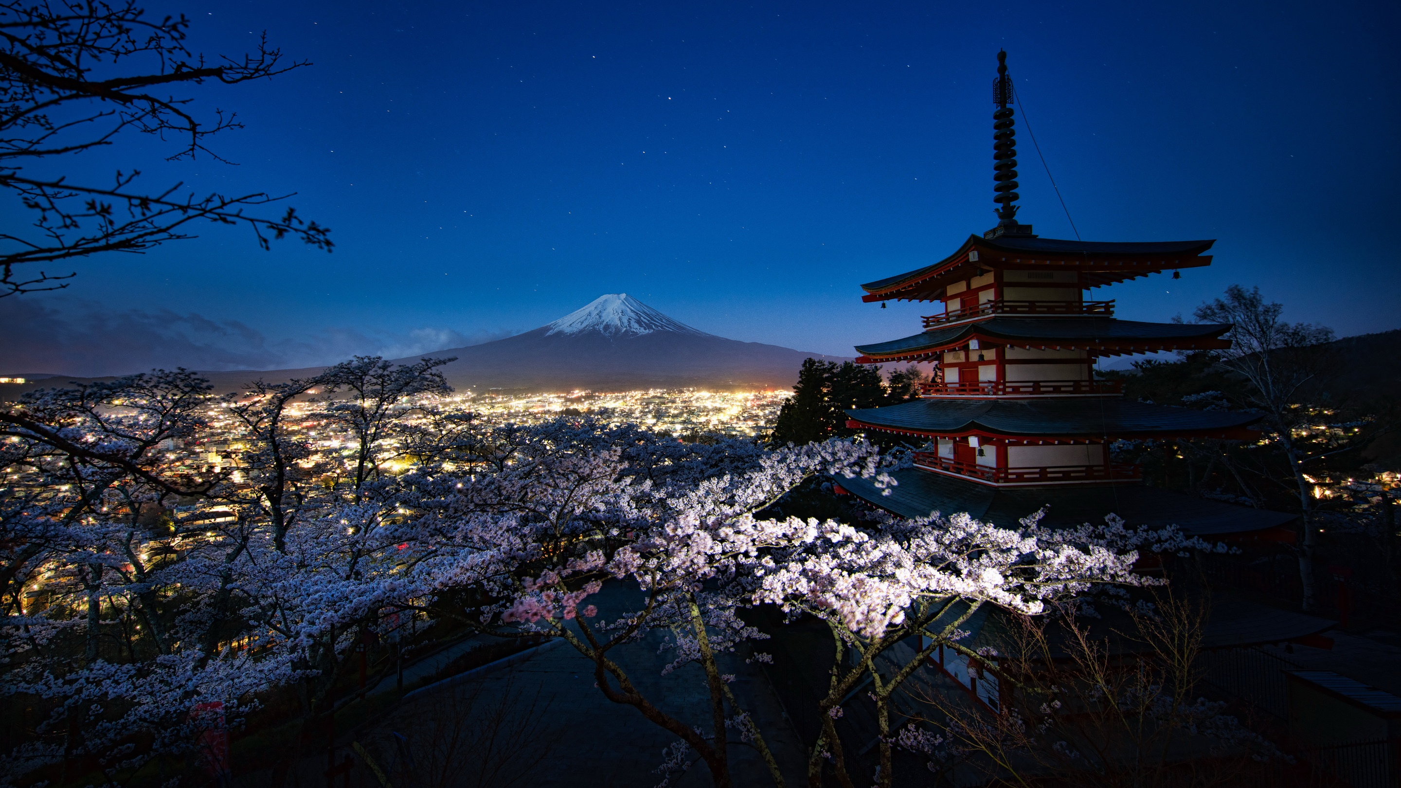 природа цветы ночь город страны сакура без смс