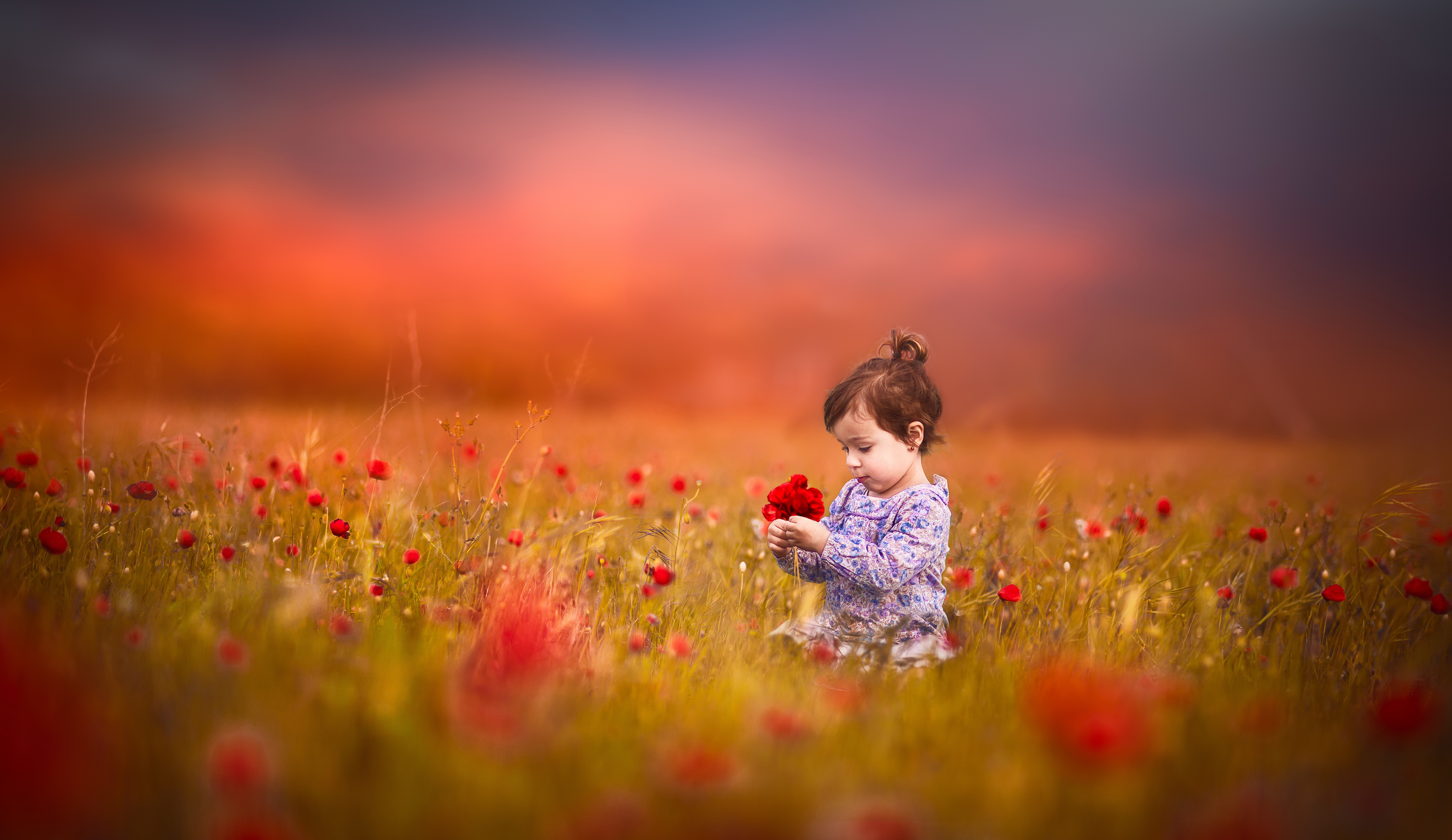 Малыш в поле цветов загрузить