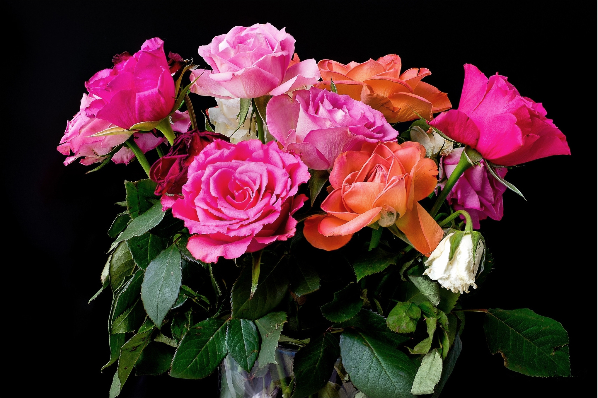 Обои розы, букет, розовые, красивые, роз, roses, bouquet, pink, beautiful разрешение 2041x1359 Загрузить