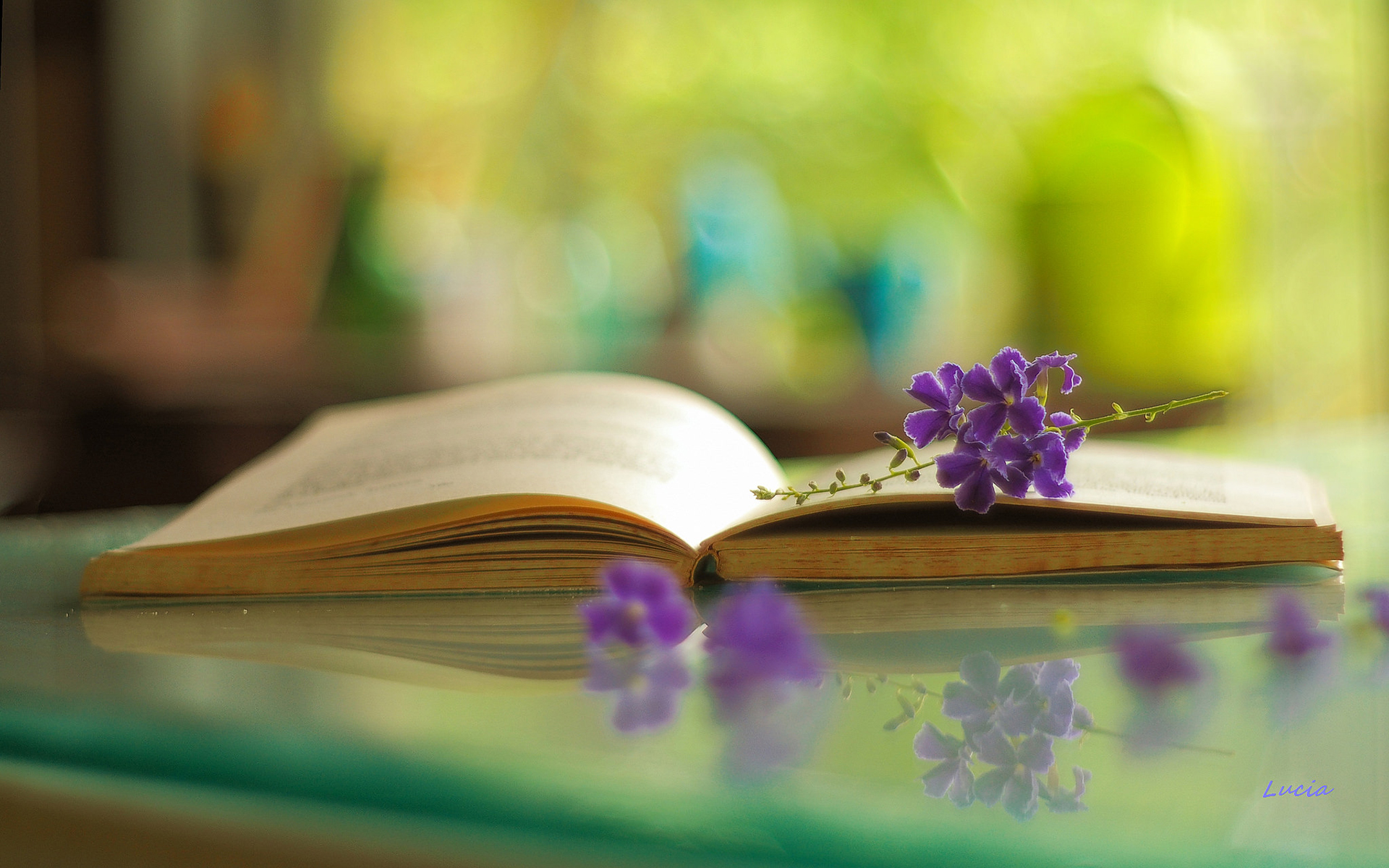 Музыка фон для чтения стихов. Красивый фон с книгами. Обои на рабочий стол книги. Книга цветы. Книги о весне.