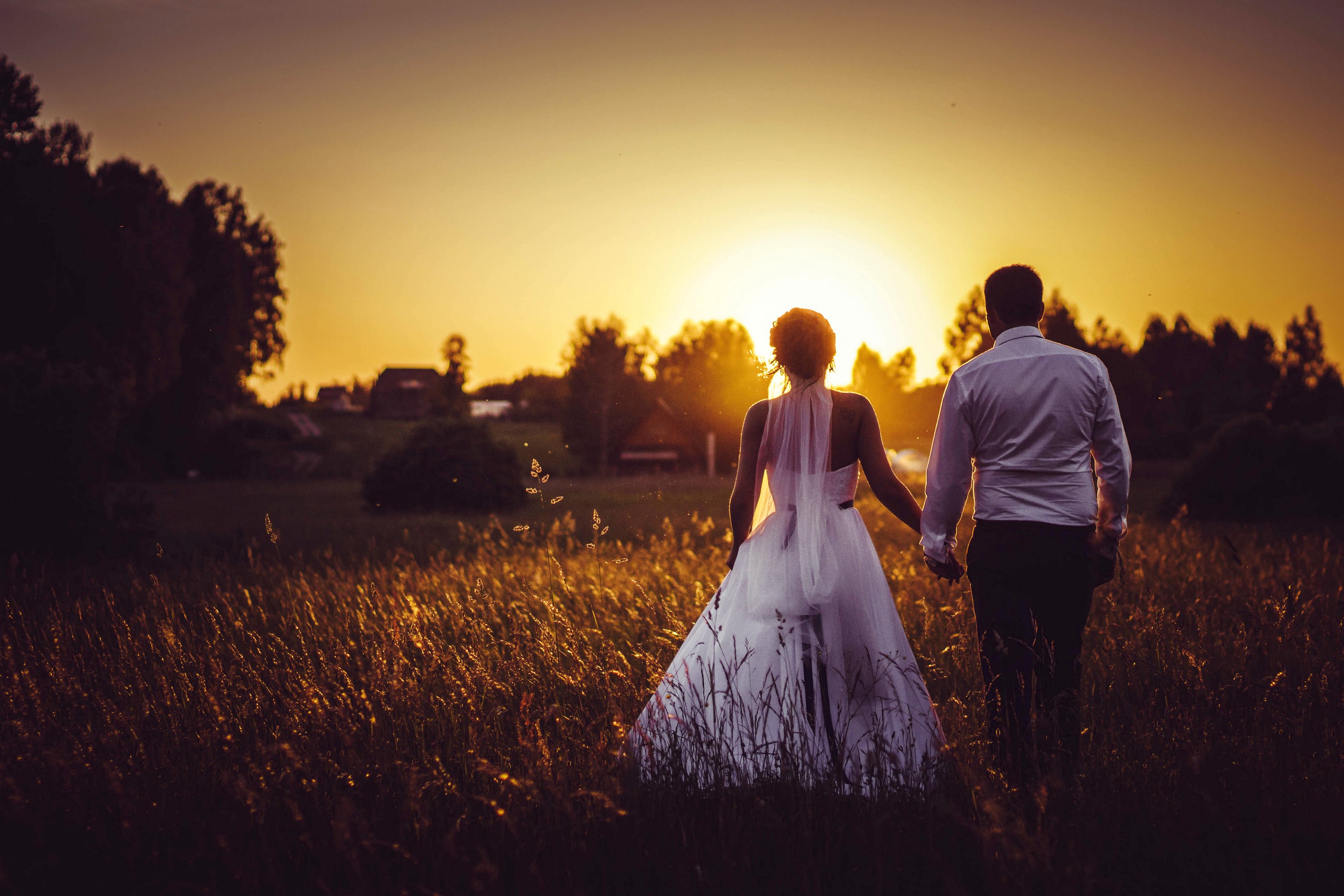 Обои закат, поле, жених, свадьба, невеста, sunset, field, the groom, wedding, the bride разрешение 2880x1920 Загрузить