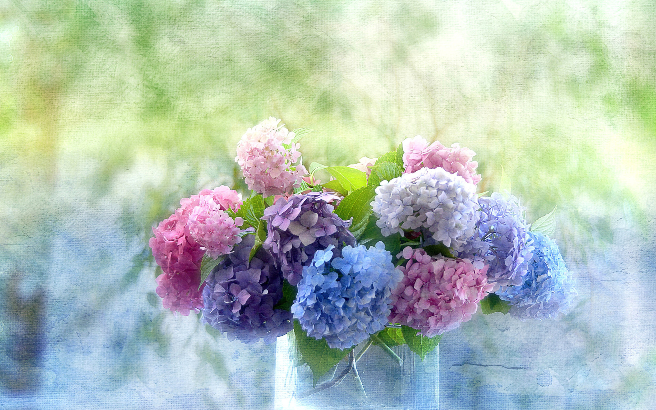 Обои цветы, букет, ваза, гортензии, flowers, bouquet, vase, hydrangeas разрешение 2560x1600 Загрузить