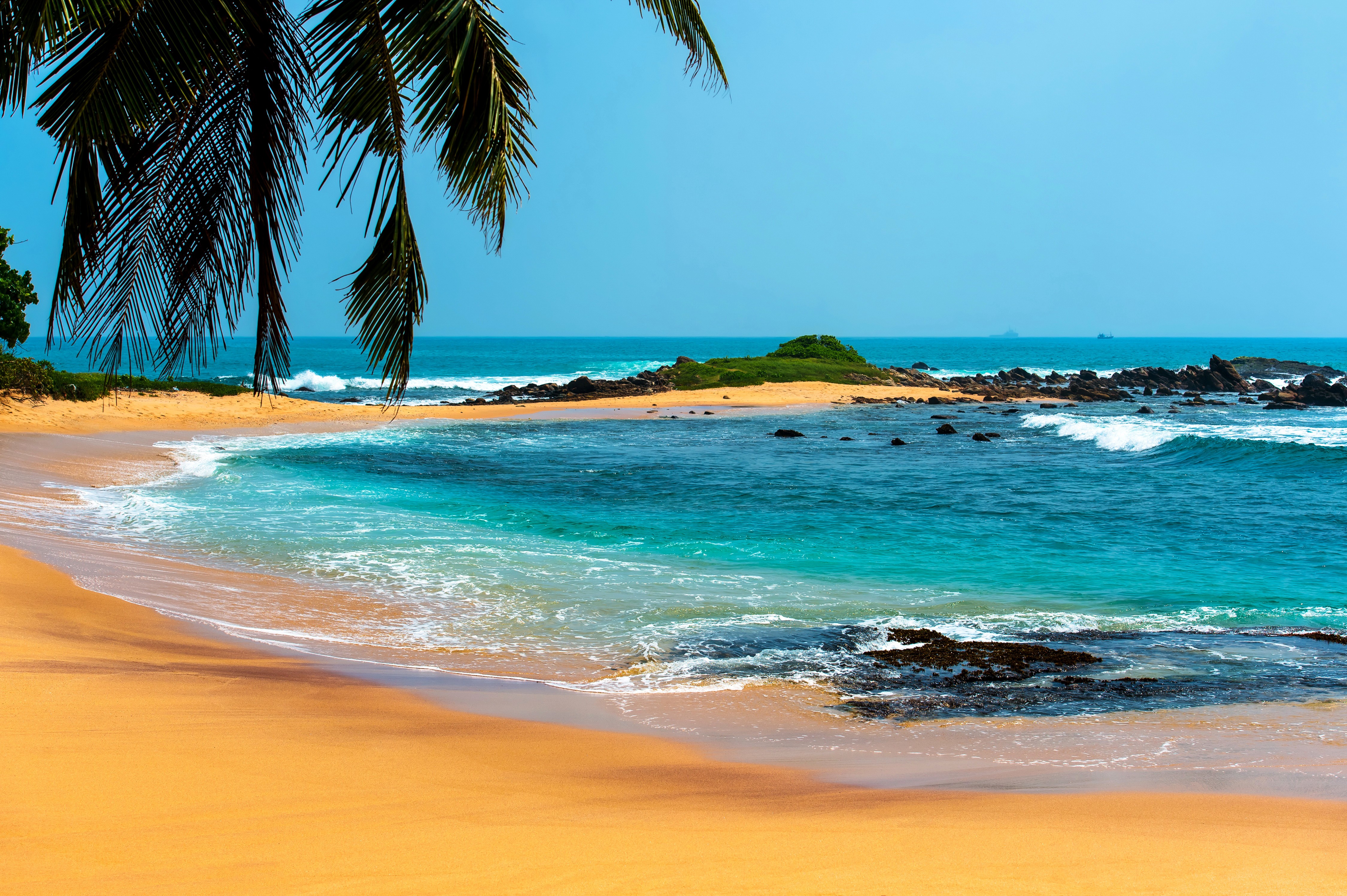 Пальмы шри ланки. Лагуна Бич Шри Ланка. Шри Ланка океан. Пляж. Море пляж.