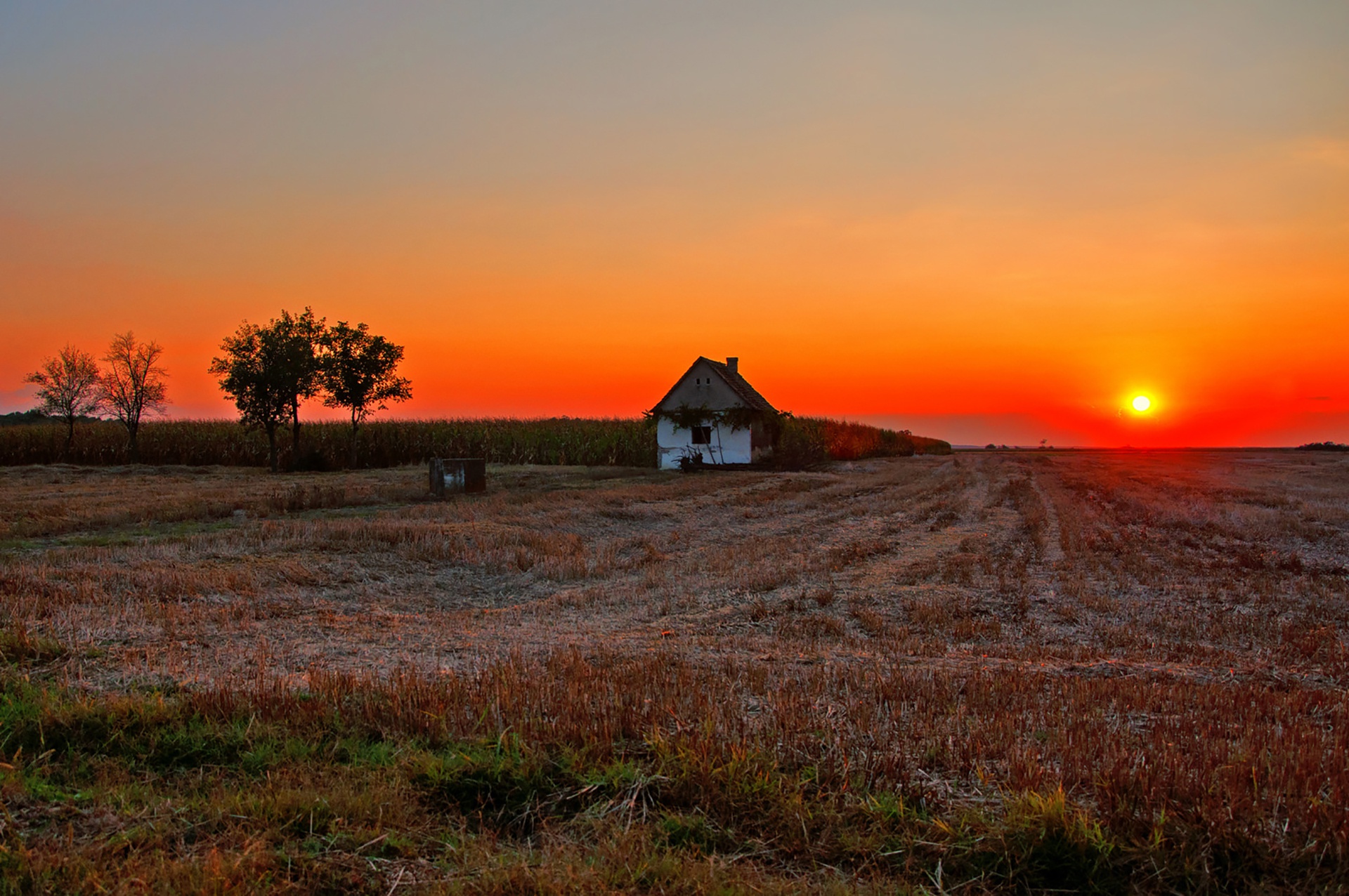 Обои dusk, солнце, fireball, полумрак, закат, countryside, farmland, поле, дом, сумерки, ферма, вс, сельская местность, the sun, sunset, field, house, twilight, farm, sun, the countryside разрешение 1920x1276 Загрузить