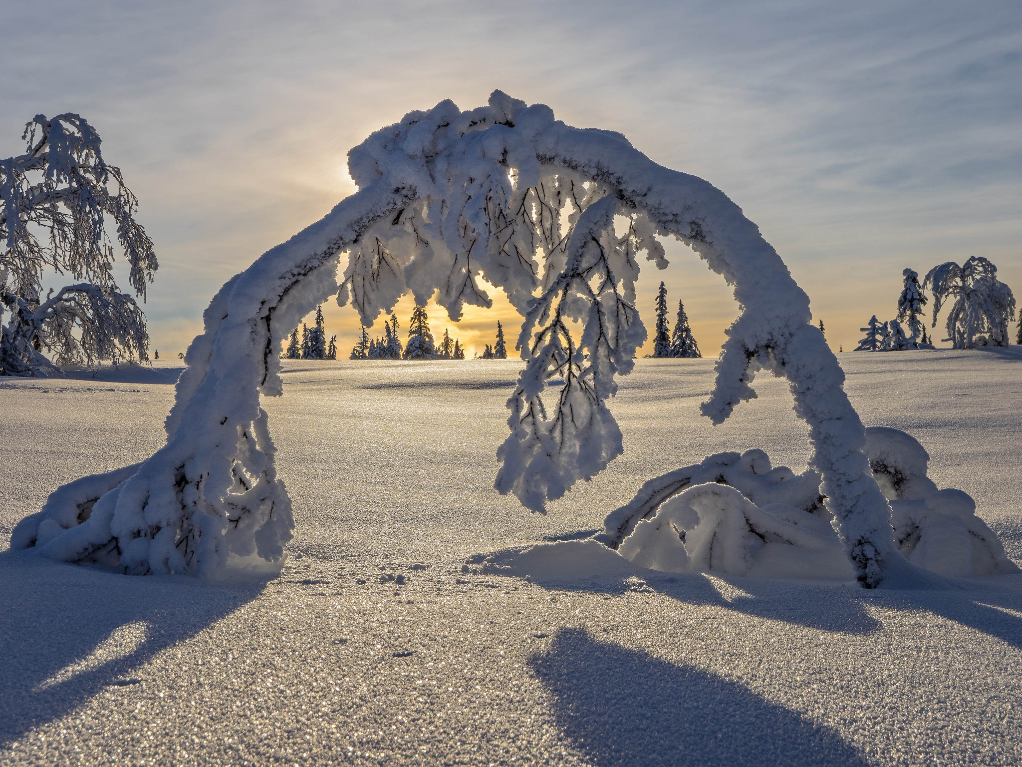 Обои деревья, снег, зима, швеция, арка, швеции, лапландия, trees, snow, winter, sweden, arch, lapland разрешение 2048x1536 Загрузить