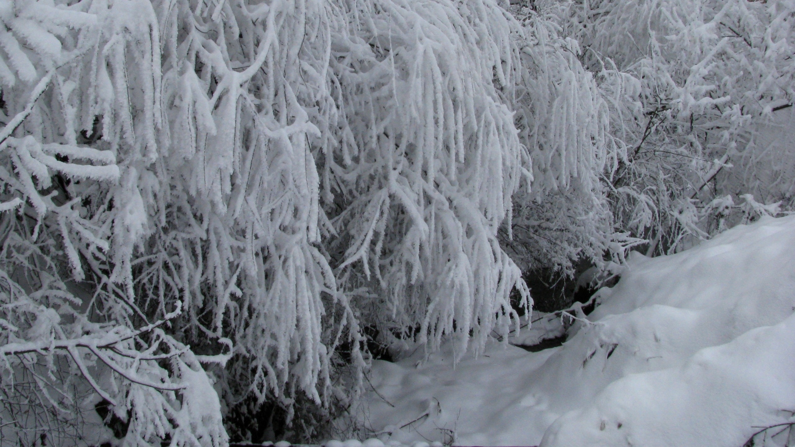 Обои снег, зима, ручей, snow, winter, stream разрешение 2560x1440 Загрузить