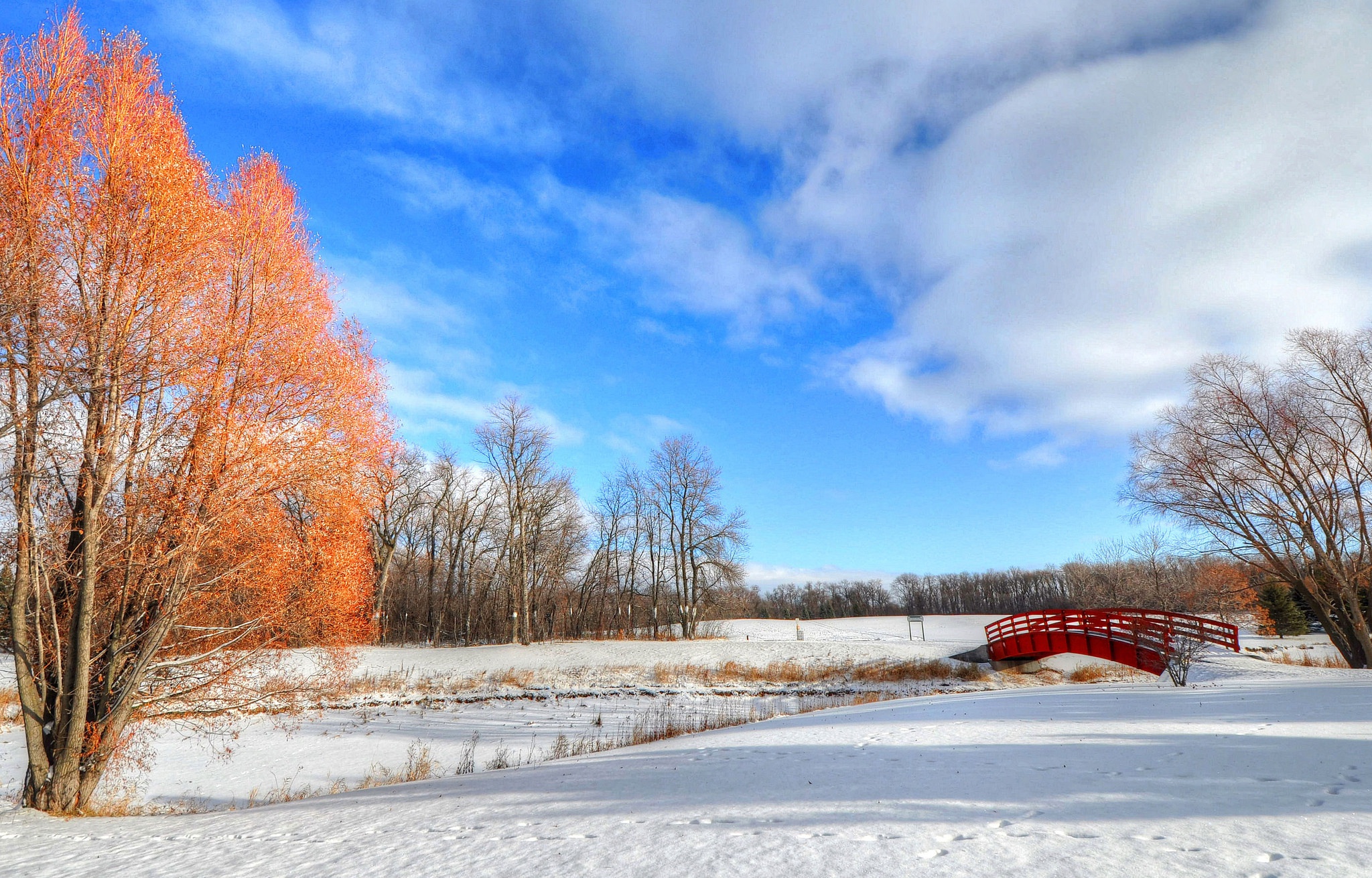 Обои деревья, снег, зима, парк, мост, краски, trees, snow, winter, park, bridge, paint разрешение 2048x1311 Загрузить