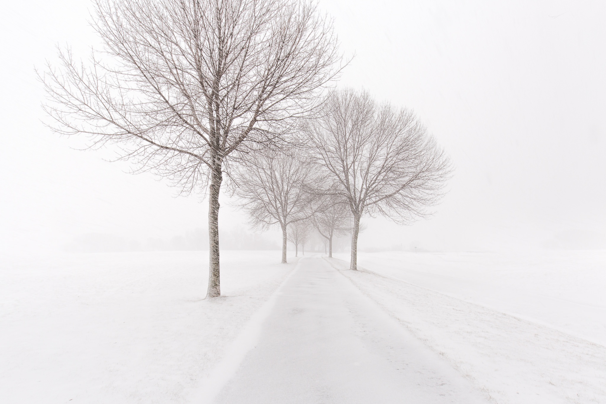 Обои дорога, деревья, снег, зима, метель, road, trees, snow, winter, blizzard разрешение 2048x1365 Загрузить