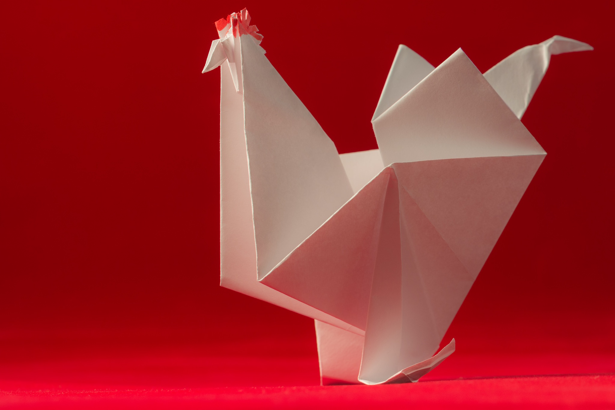 Обои бумага, птица, оригами, красный фон, петух, paper, bird, origami, red background, cock разрешение 2048x1365 Загрузить