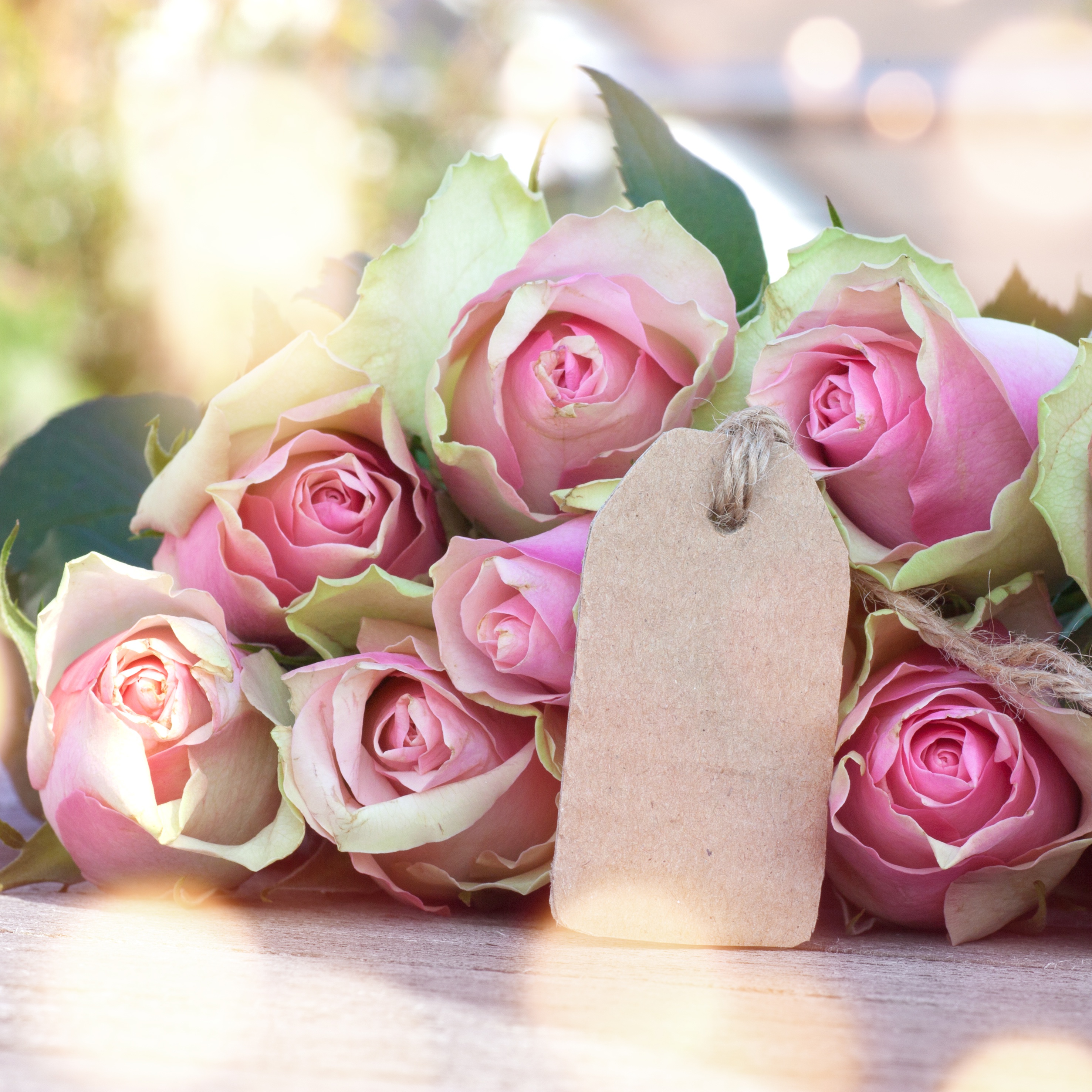 Обои бутоны, розы, романтик,  цветы, роз, пинк, valentine`s day, buds, roses, romantic, flowers, pink, valentine's day разрешение 2953x2953 Загрузить