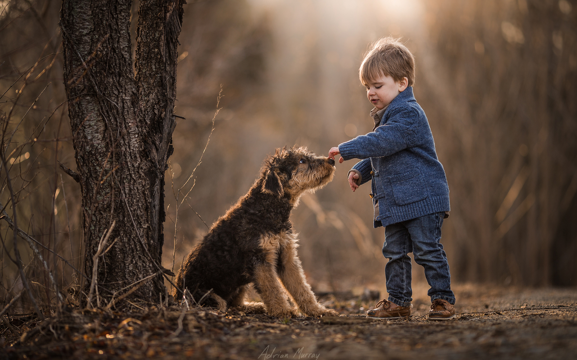 Обои собака, мальчик, друзья, dog, boy, friends разрешение 1920x1200 Загрузить