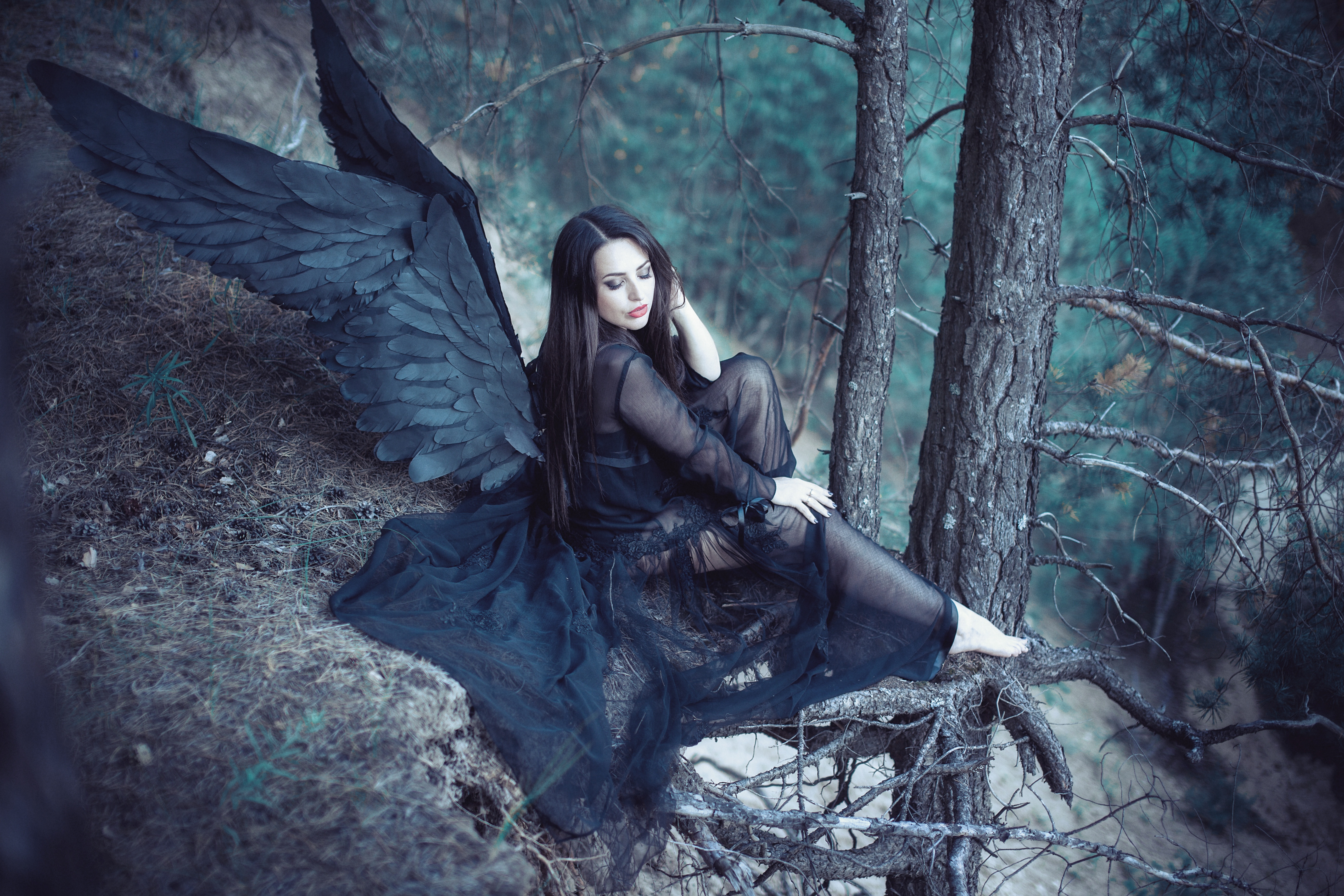 Обои лес, девушка, крылья, ангел, черные крылья, forest, girl, wings, angel, black wings разрешение 5616x3744 Загрузить