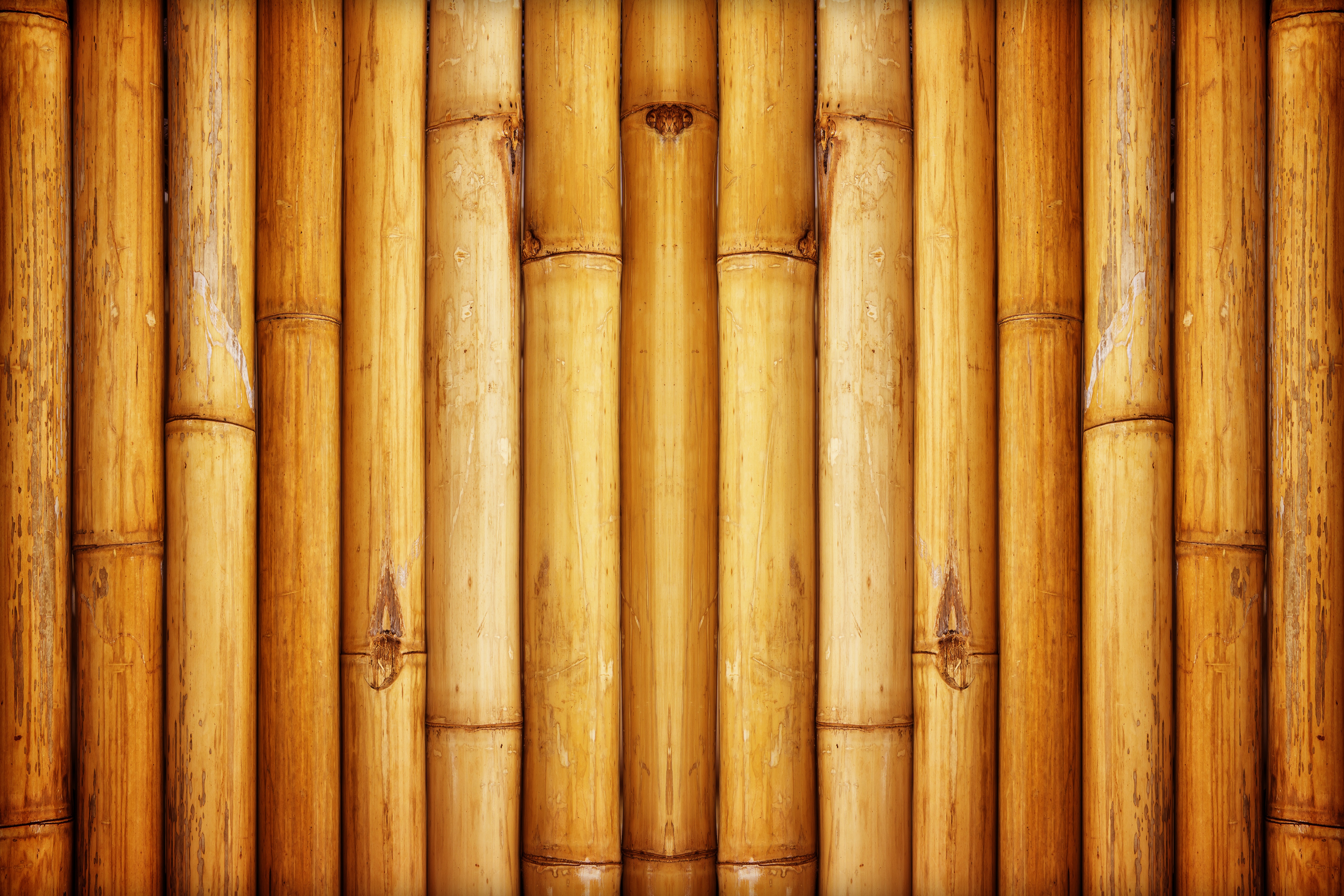 Обои текстура, узор, стена, бамбук, texture, pattern, wall, bamboo разрешение 5184x3456 Загрузить