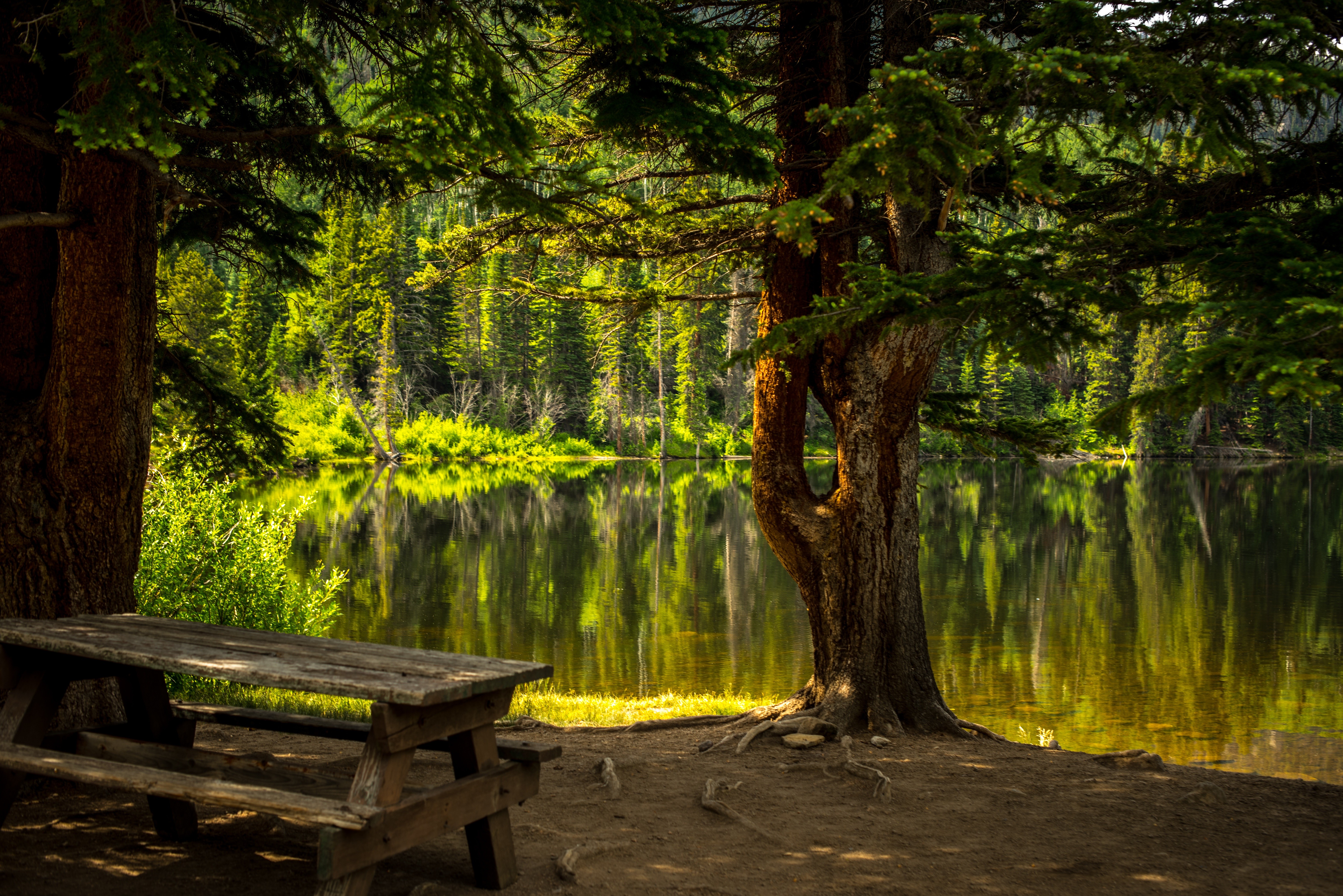 Обои деревья, вода, озеро, природа, лес, стол, скамейка, trees, water, lake, nature, forest, table, bench разрешение 6016x4016 Загрузить