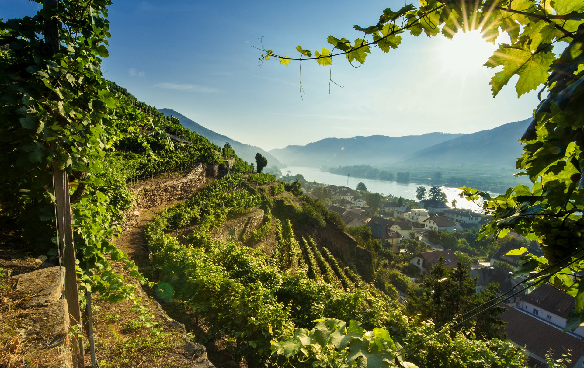 Обои река, австрия, долина, дунай, вахау, river, austria, valley, the danube, wachau разрешение 1920x1210 Загрузить