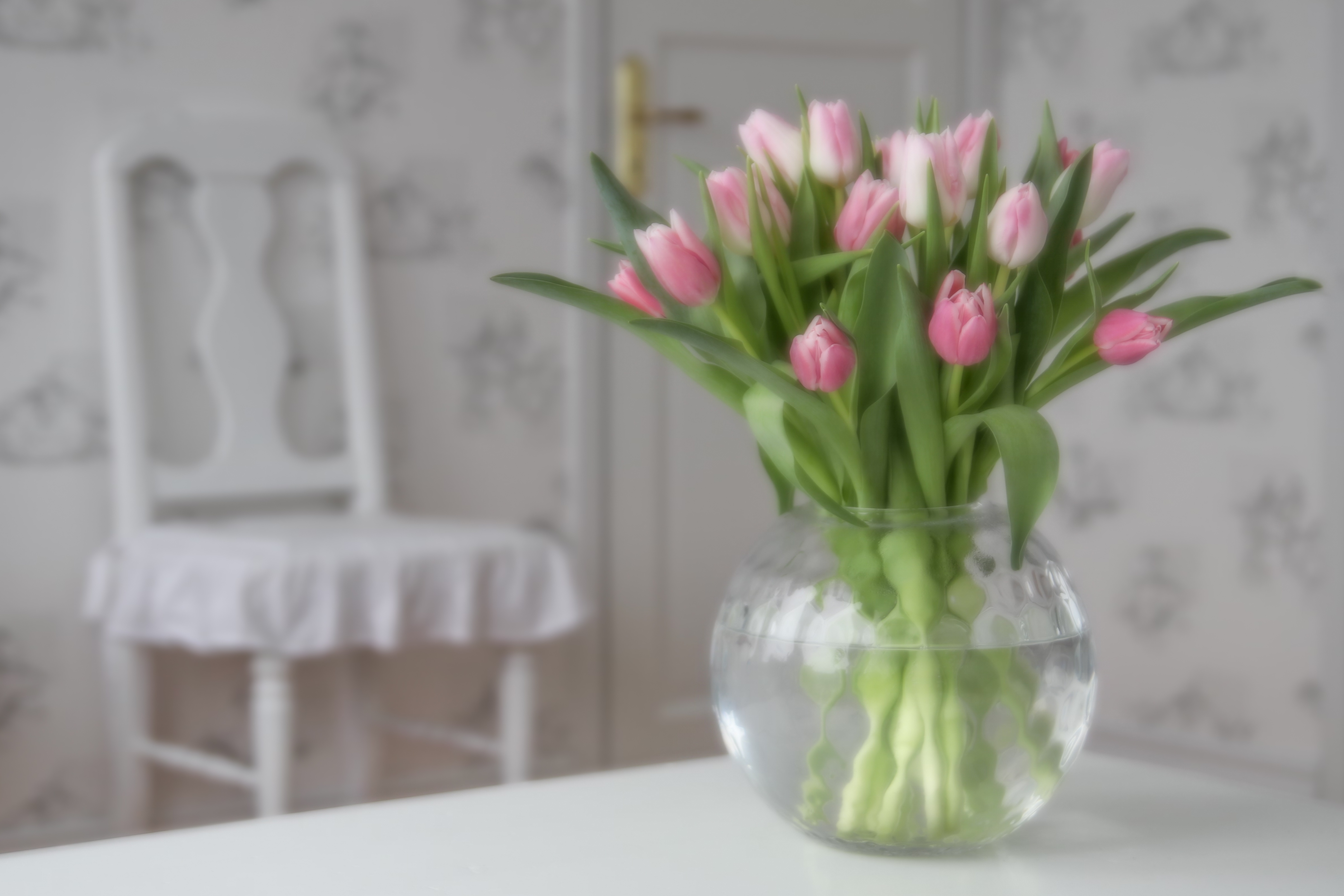 Обои цветы, бутоны, букет, тюльпаны, розовые, ваза, flowers, buds, bouquet, tulips, pink, vase разрешение 4810x3207 Загрузить