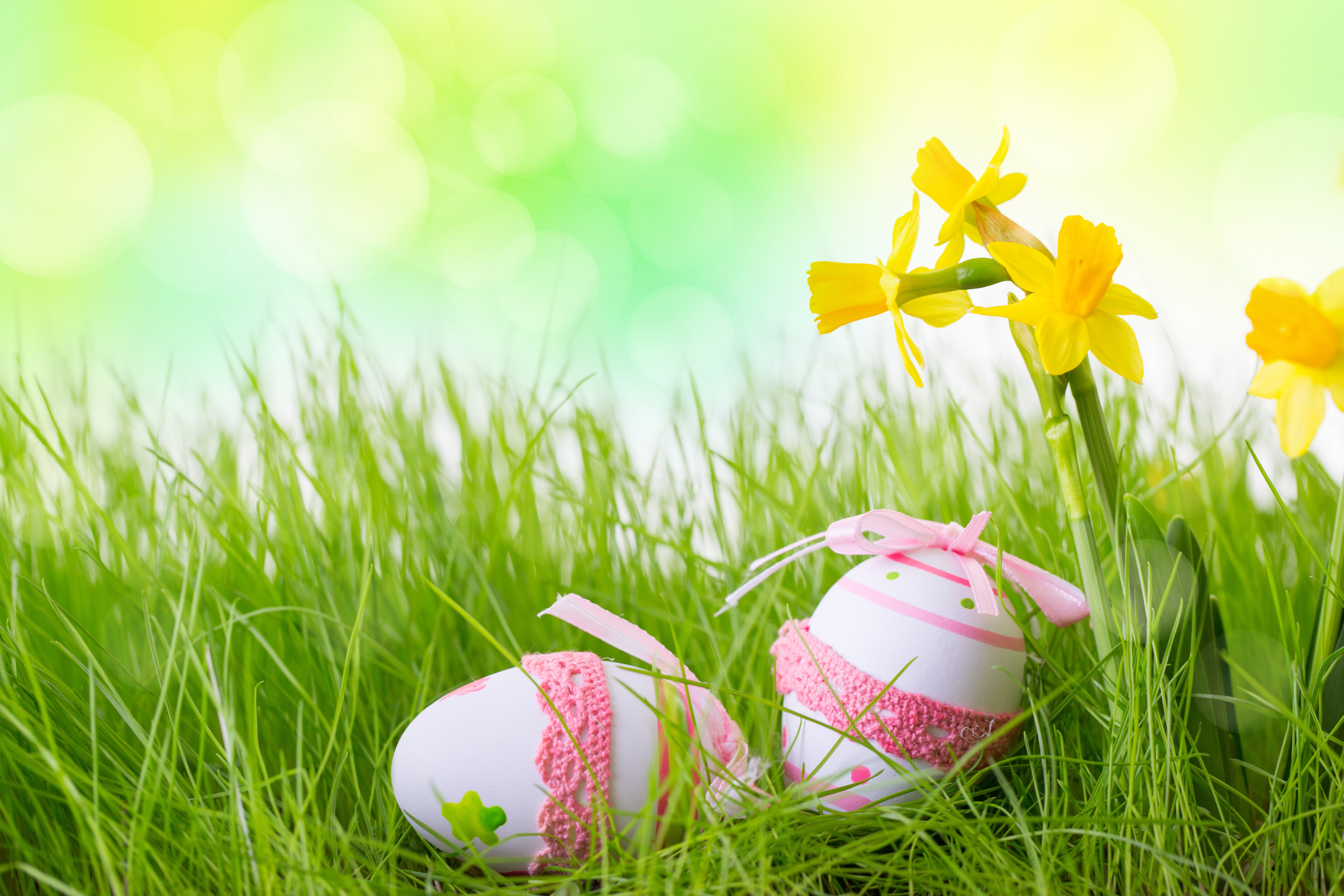 праздники яйца пасха трава природа holidays eggs Easter grass nature загрузить