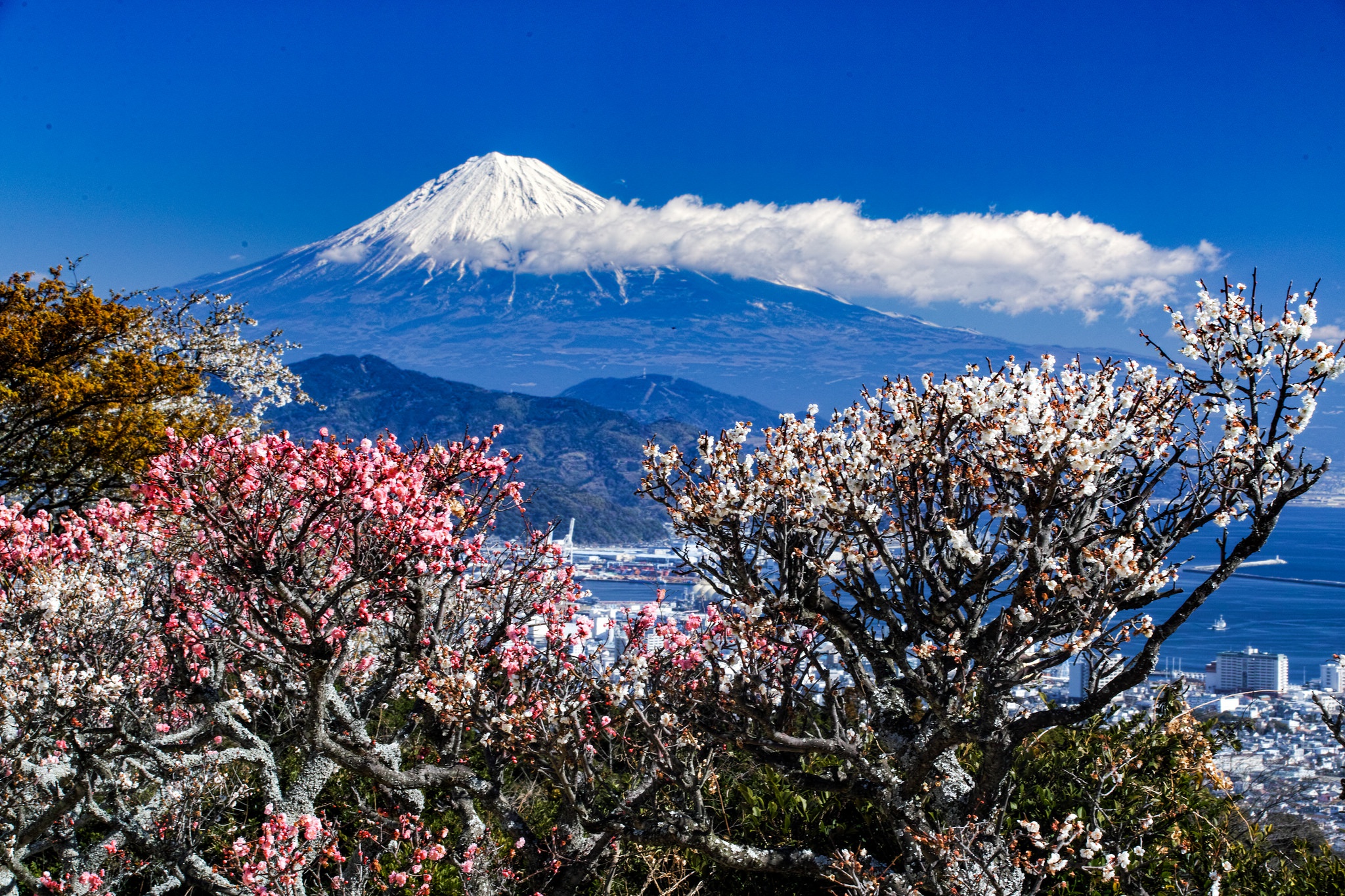 Обои деревья, горы, пейзаж, город, весна, trees, mountains, landscape, the city, spring разрешение 2048x1365 Загрузить