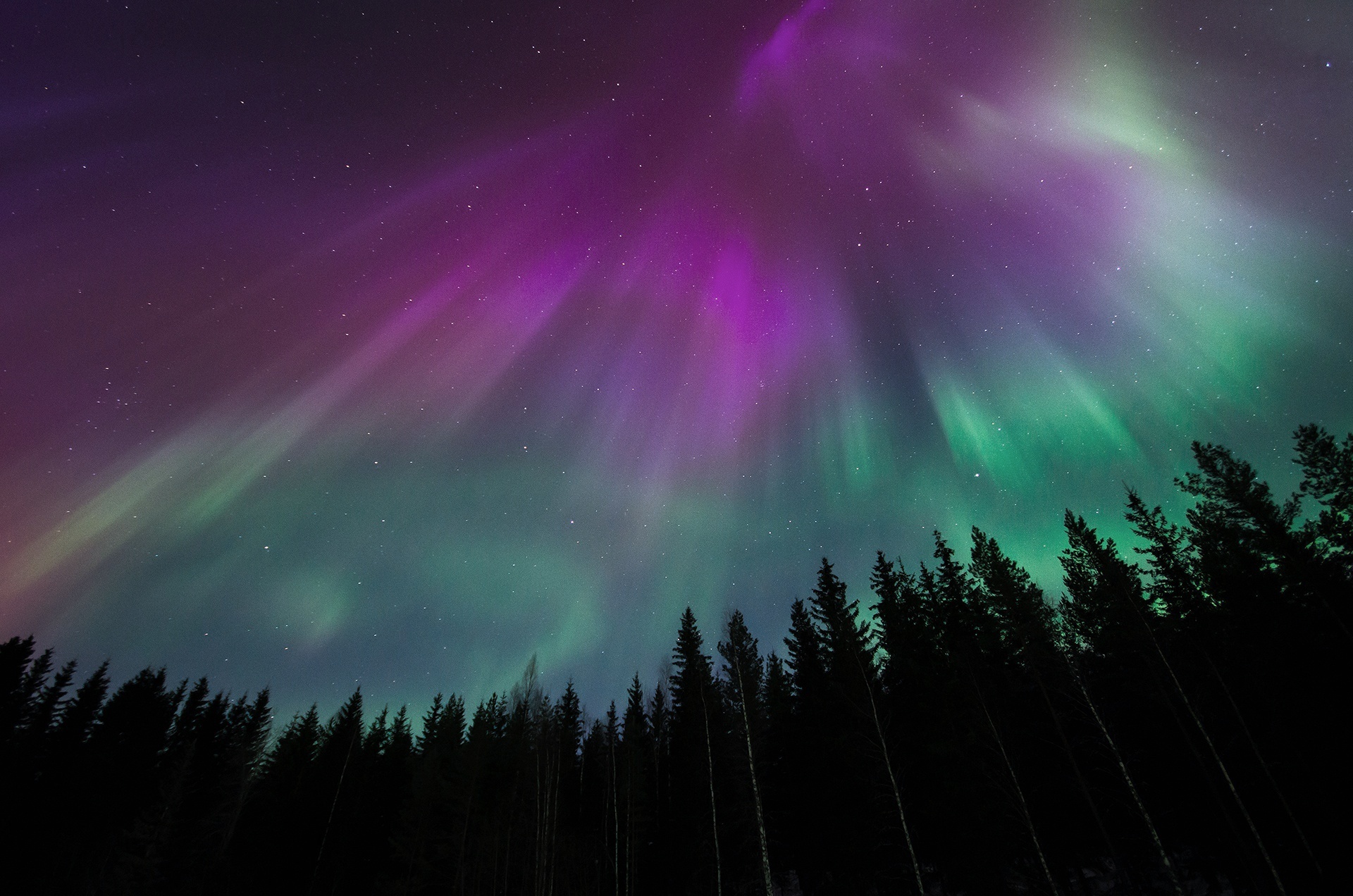 Северное небо. Лучистое полярное сияние. Северное сияние Northern Lights. Северное сияние Йокюльсаурлон. Северное сияние в Мурманске.