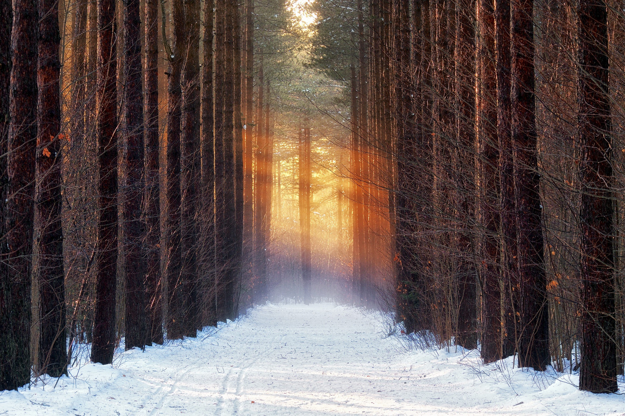 Обои дорога, деревья, снег, лес, зима, road, trees, snow, forest, winter разрешение 2048x1365 Загрузить