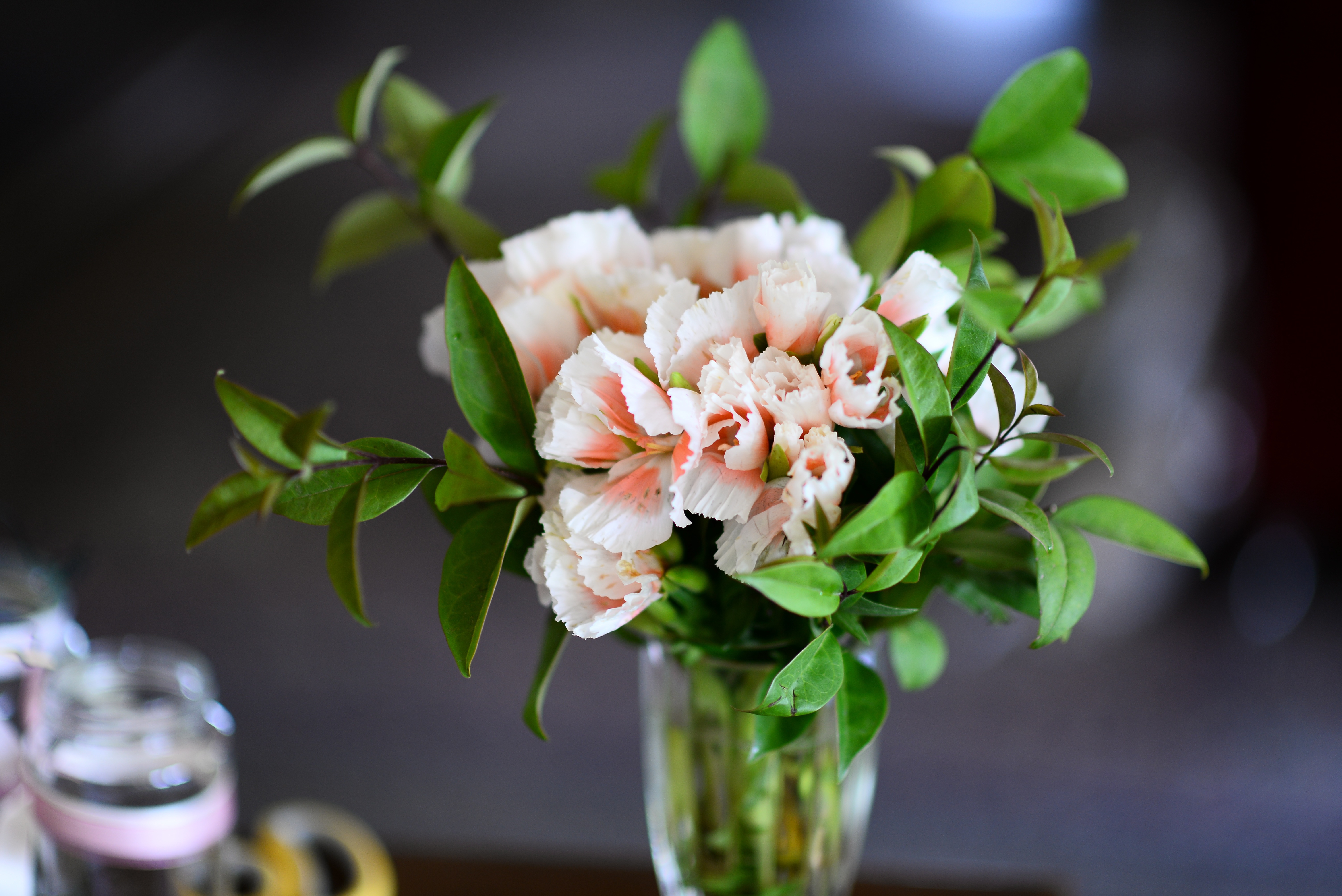 Обои цветы, листья, ветки, букет, ваза, пеларгония, flowers, leaves, branches, bouquet, vase, pelargonium разрешение 6016x4016 Загрузить