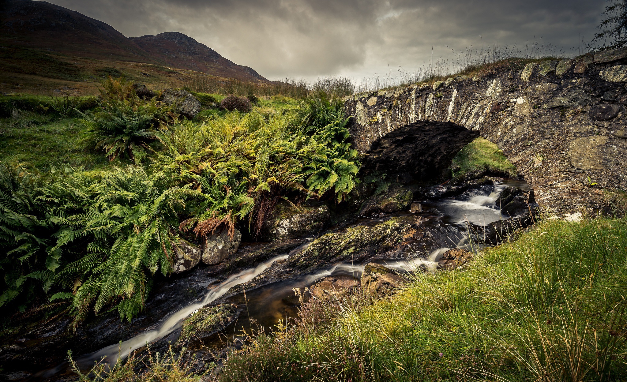 Обои трава, горы, камни, ручей, мост, папоротник, каменный мост, grass, mountains, stones, stream, bridge, fern, stone bridge разрешение 2048x1248 Загрузить