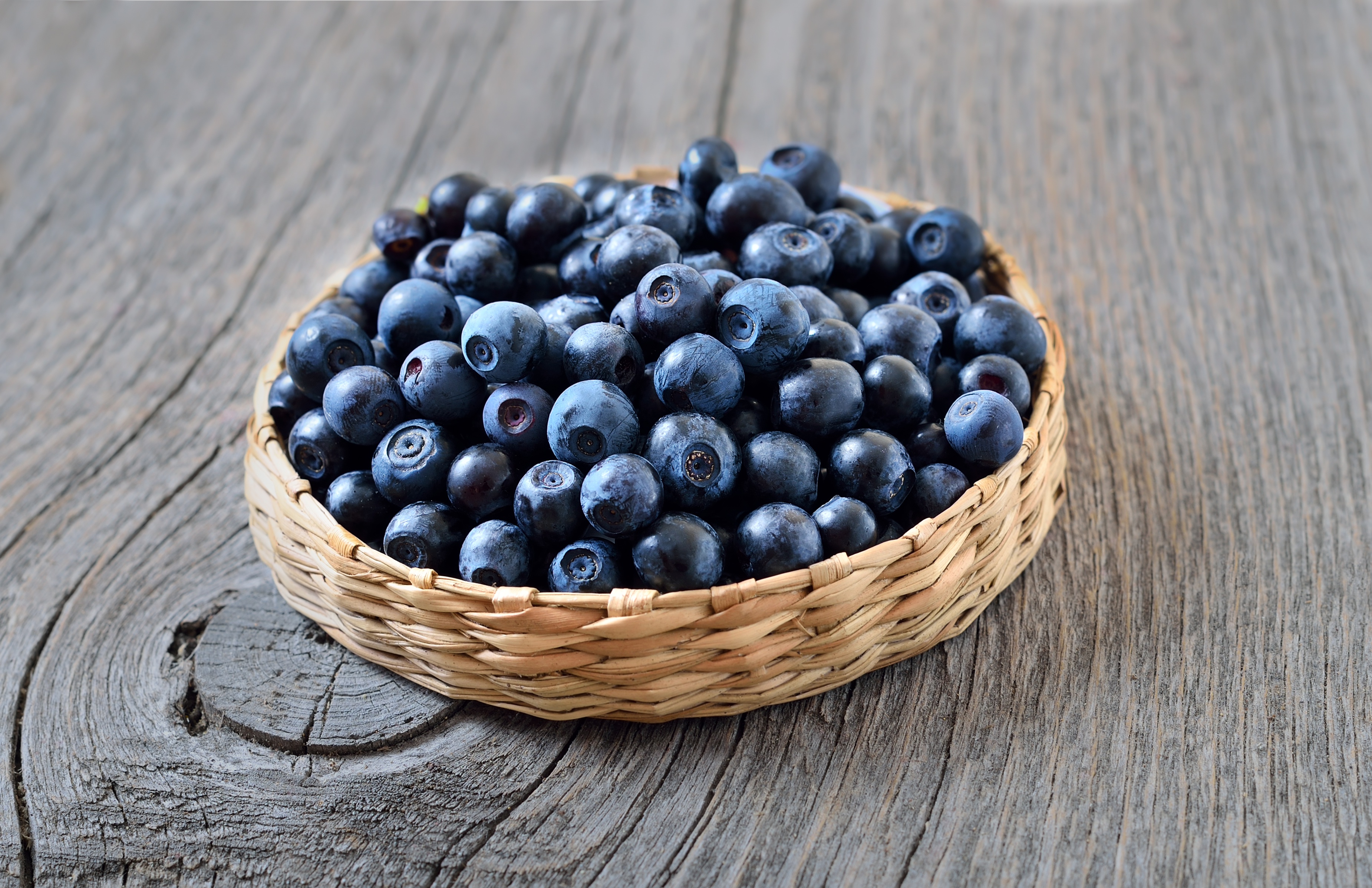 Обои ягоды, лесные ягоды, черника, голубика, парное, черничный, berries, blueberries, fresh, blueberry разрешение 3700x2394 Загрузить