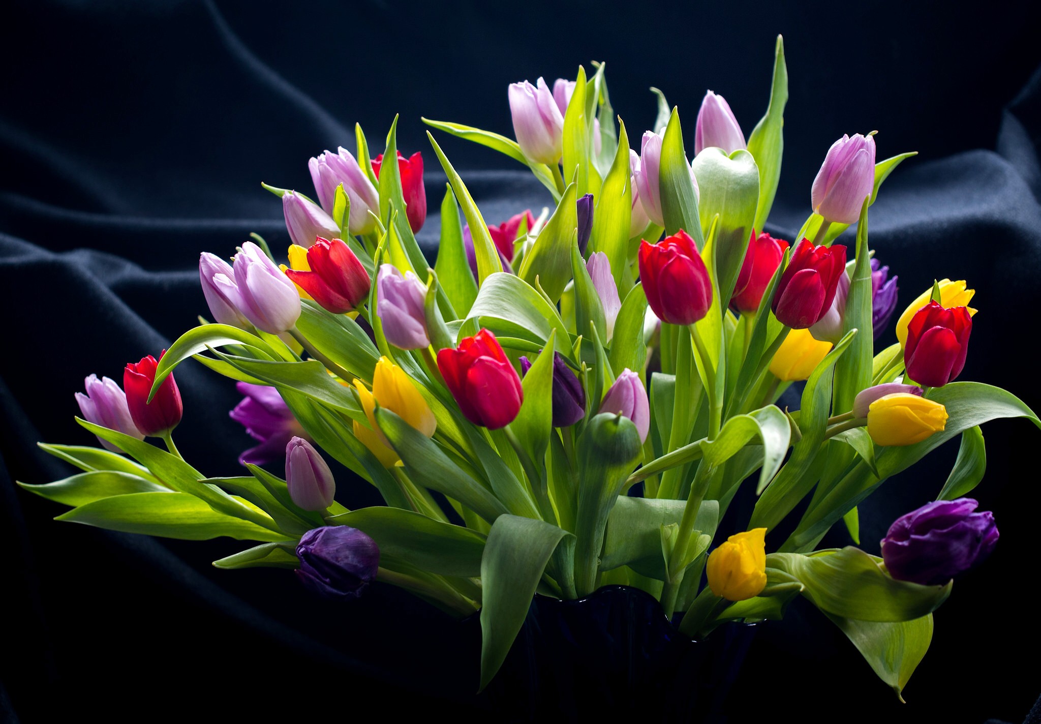 Открытку красивый букет тюльпанов. Мелкоцветные тюльпаны. Тюльпан Сандор. Тюльпан Будлайт. Красивые тюльпаны.