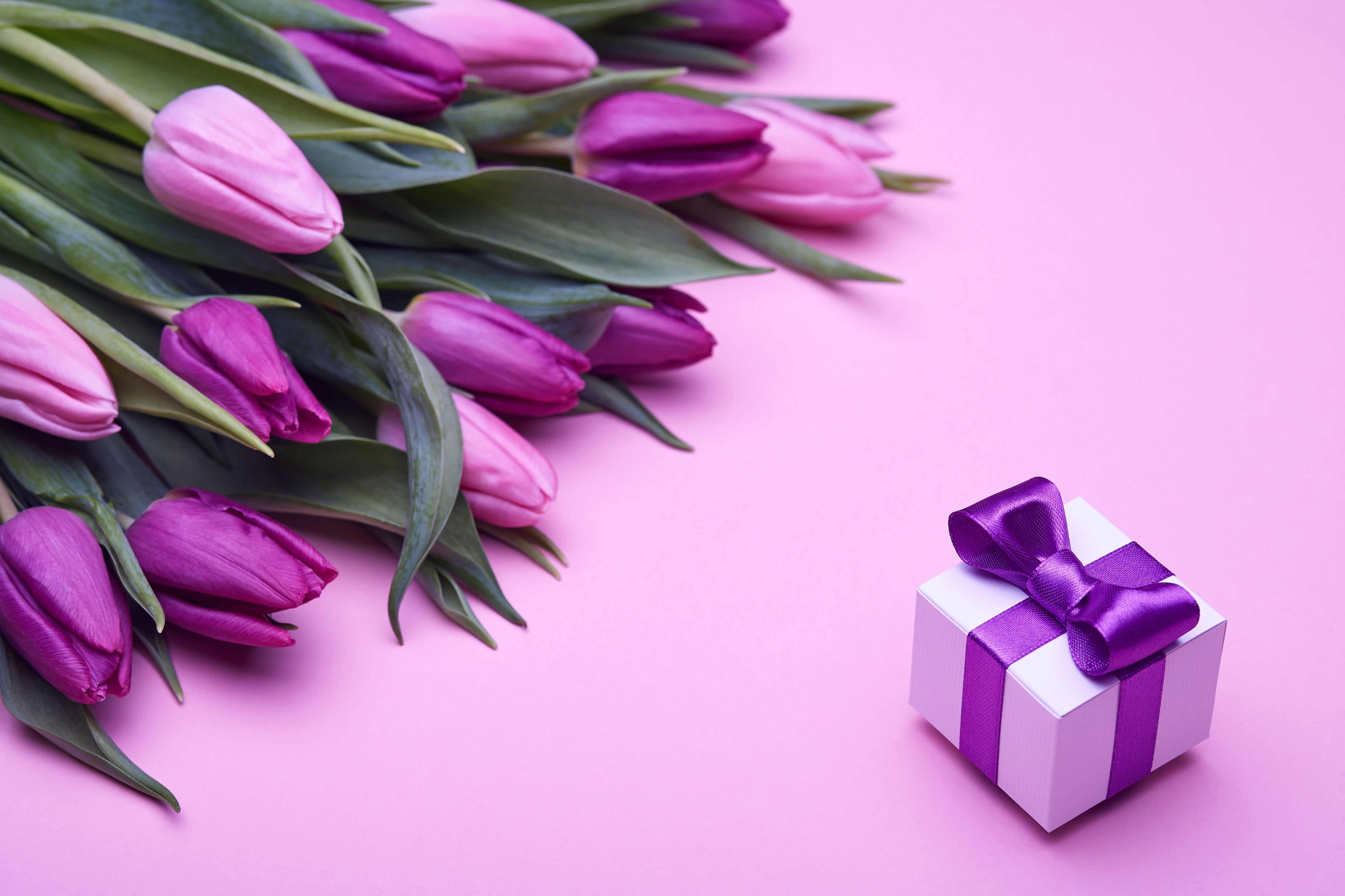 Обои букет, влюбленная, тюльпаны, пинк, розовые, лиловая, подарок, романтик, бант, тульпаны,  цветы, парное, fresh, bouquet, love, tulips, pink, purple, gift, romantic, bow, flowers разрешение 4992x3328 Загрузить
