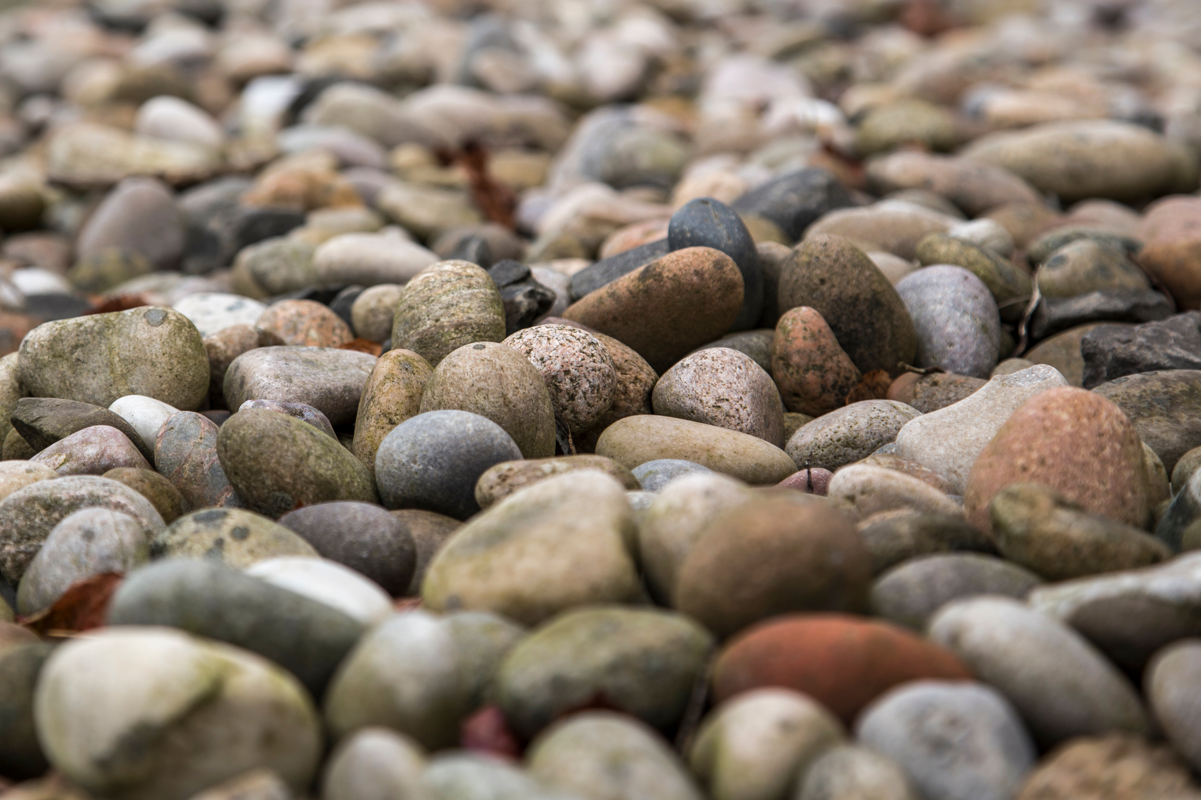 Wet stone. Крупная галька. Морские камешки. Камушки галька. Речные камни.