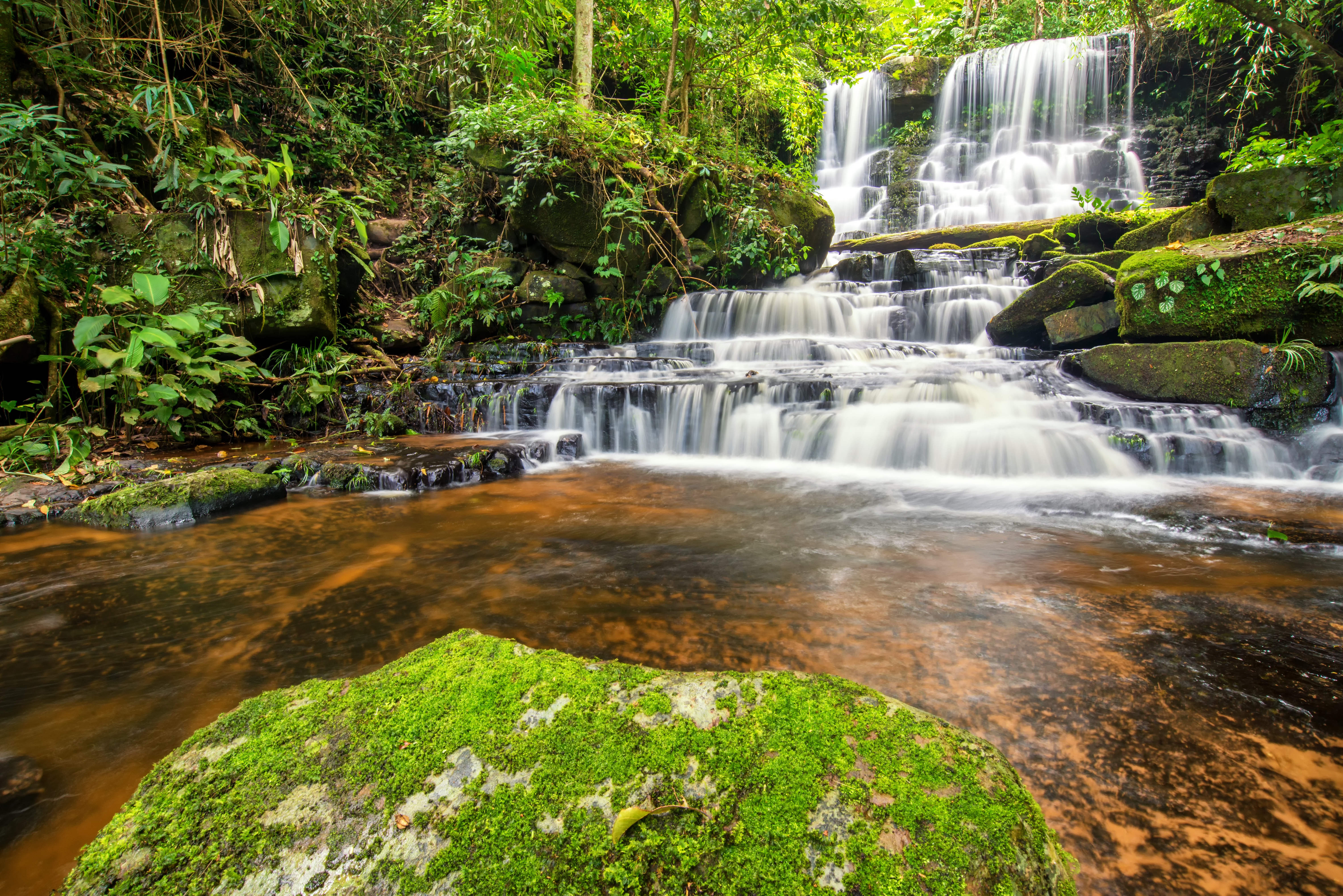 Обои река, лес, водопад, джунгли, ландшафт, красива, river, forest, waterfall, jungle, landscape, beautiful разрешение 6016x4016 Загрузить