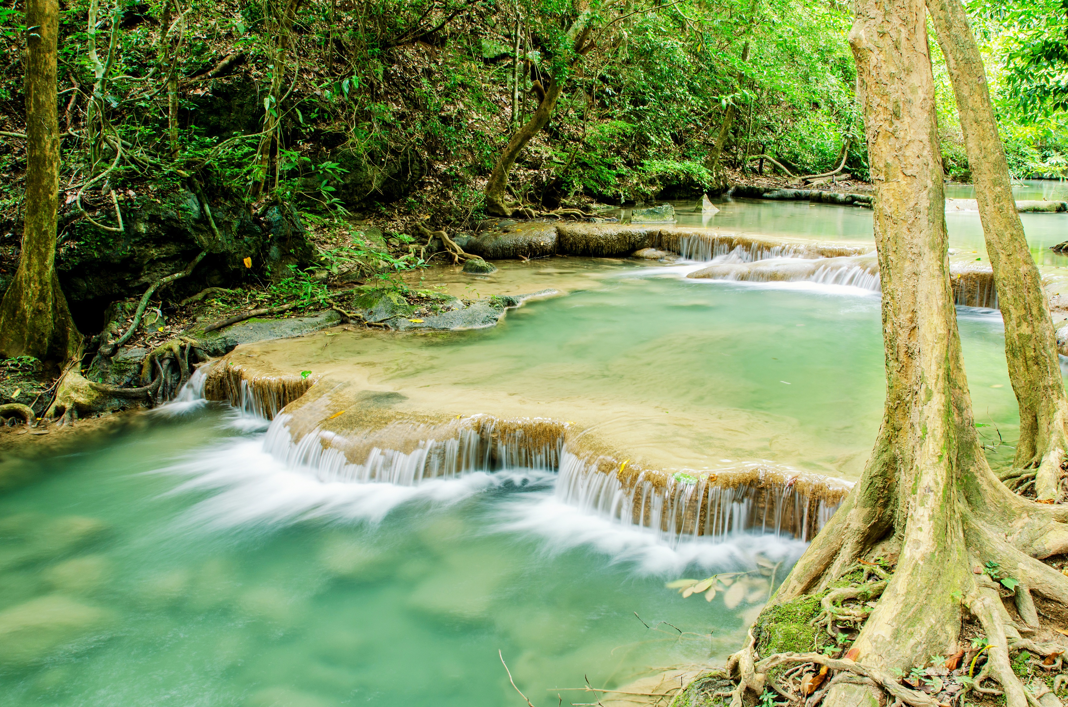 Обои река, лес, водопад, джунгли, ландшафт, тропическая, river, forest, waterfall, jungle, landscape, tropical разрешение 3500x2318 Загрузить