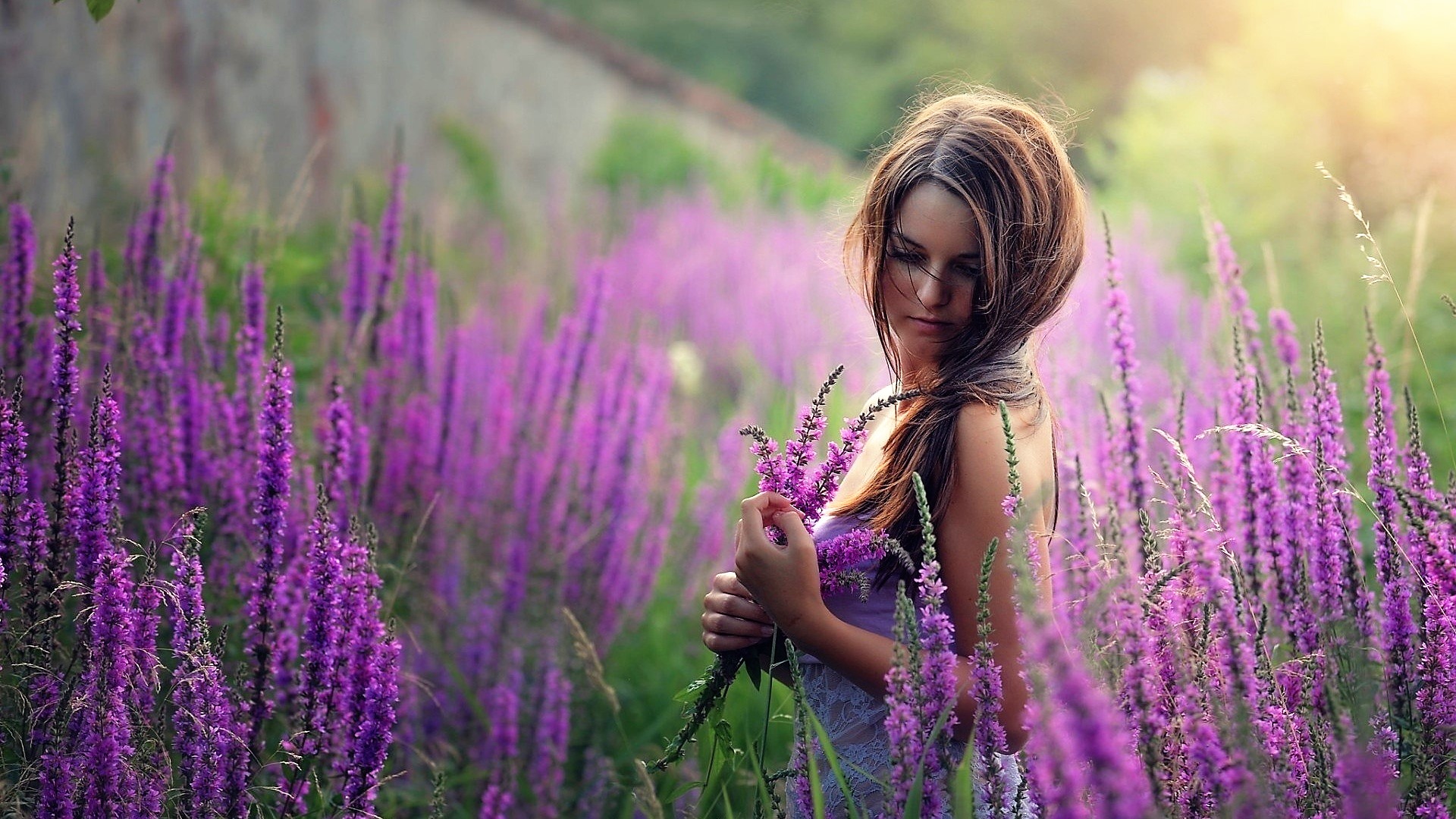 Обои цветы, девушка, лаванда, взгляд, волосы, flowers, girl, lavender, look, hair разрешение 1920x1080 Загрузить