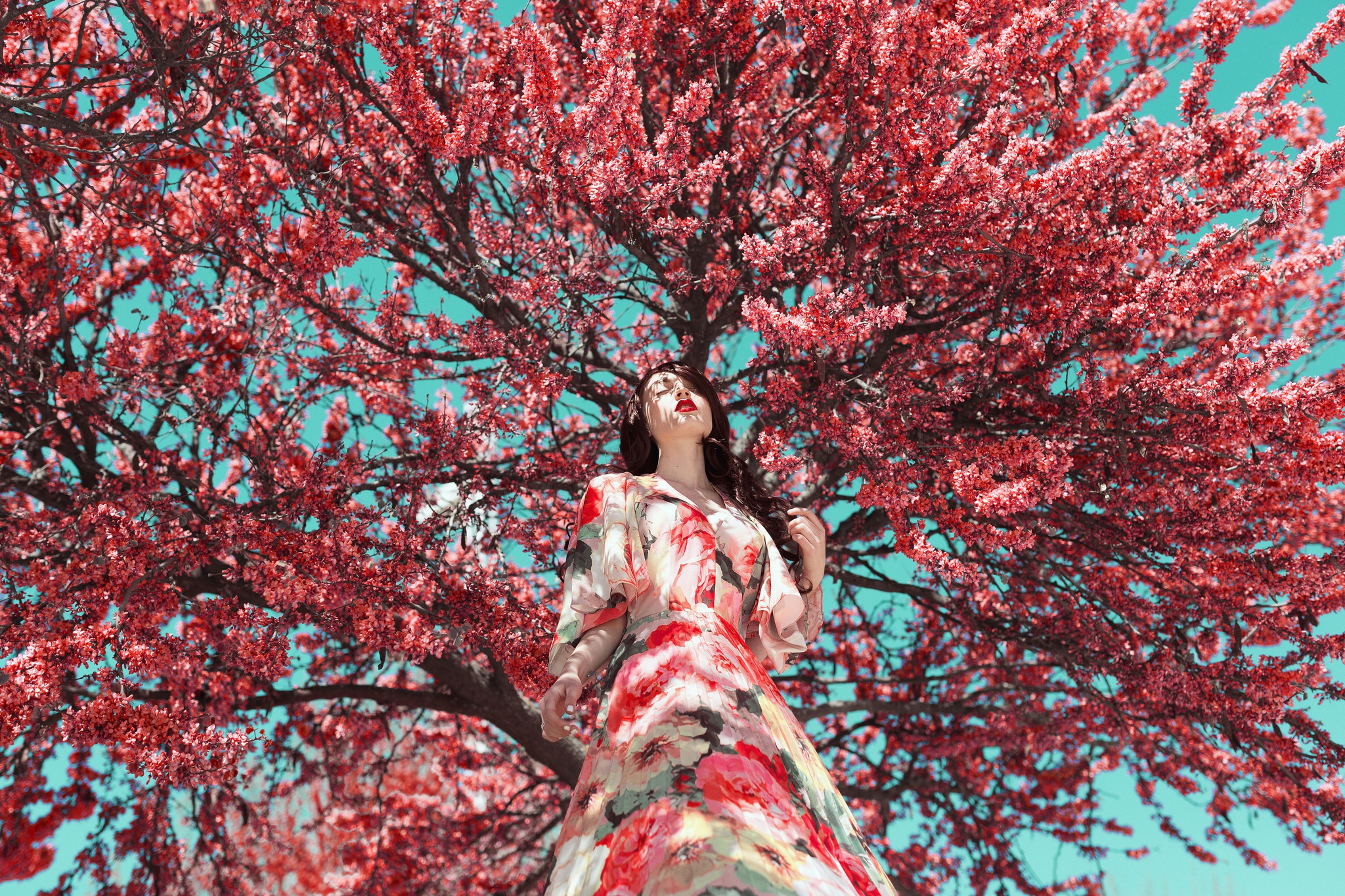 Девушка с цветущим деревом