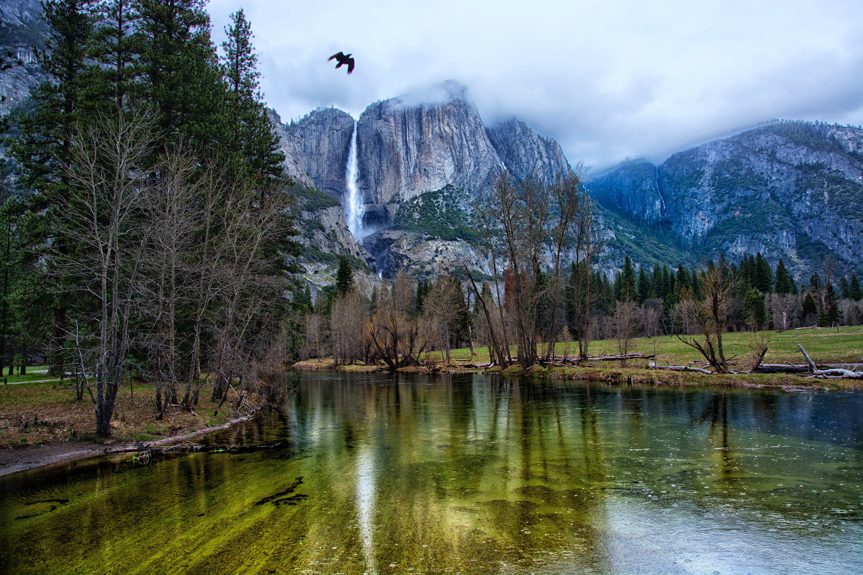 Обои деревья, йосемити, река, горы, скалы, лес, водопад, птица, сша, trees, yosemite, river, mountains, rocks, forest, waterfall, bird, usa разрешение 3000x2000 Загрузить