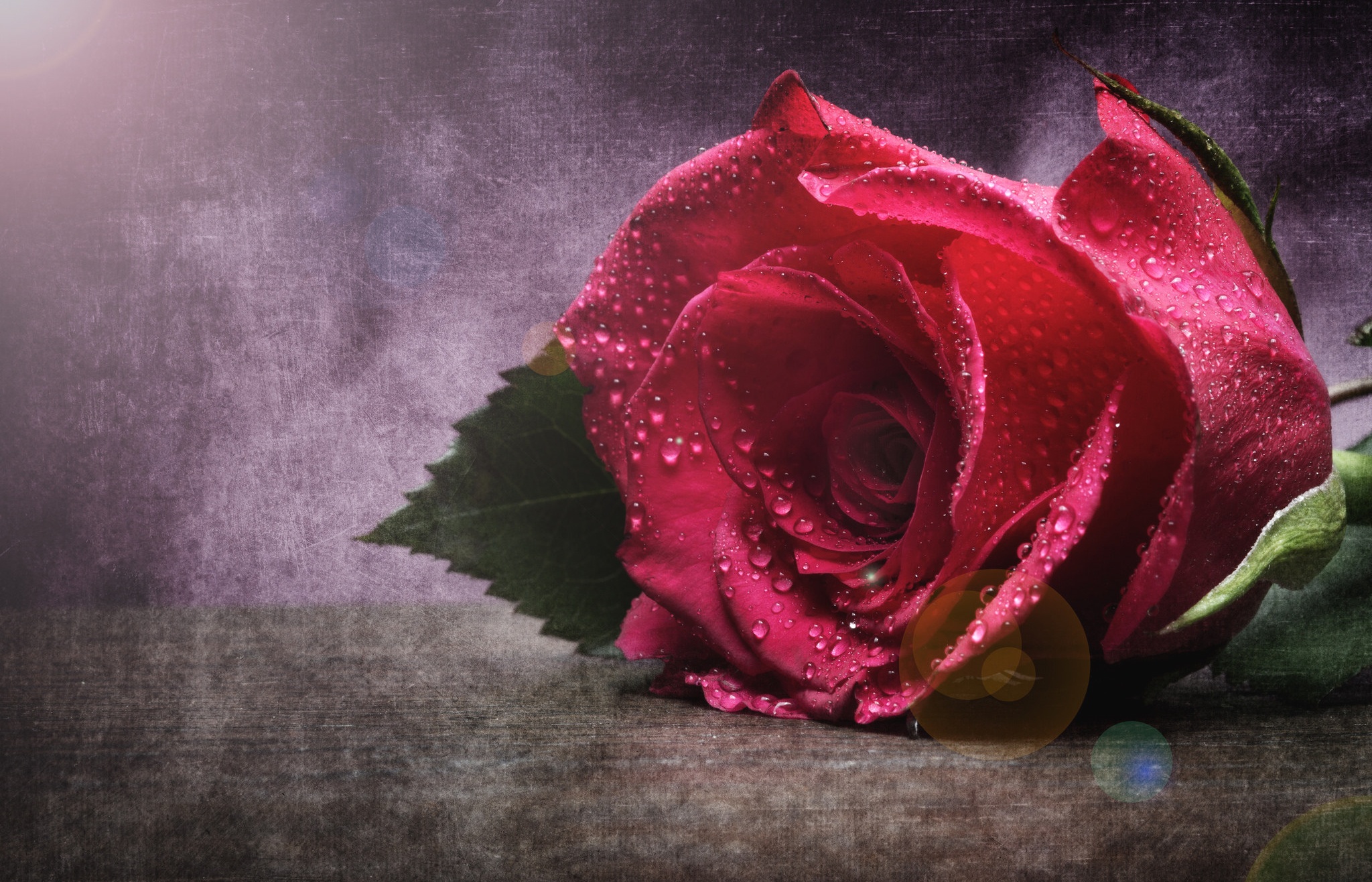 Обои макро, цветок, капли, роза, бутон, macro, flower, drops, rose, bud разрешение 2048x1316 Загрузить