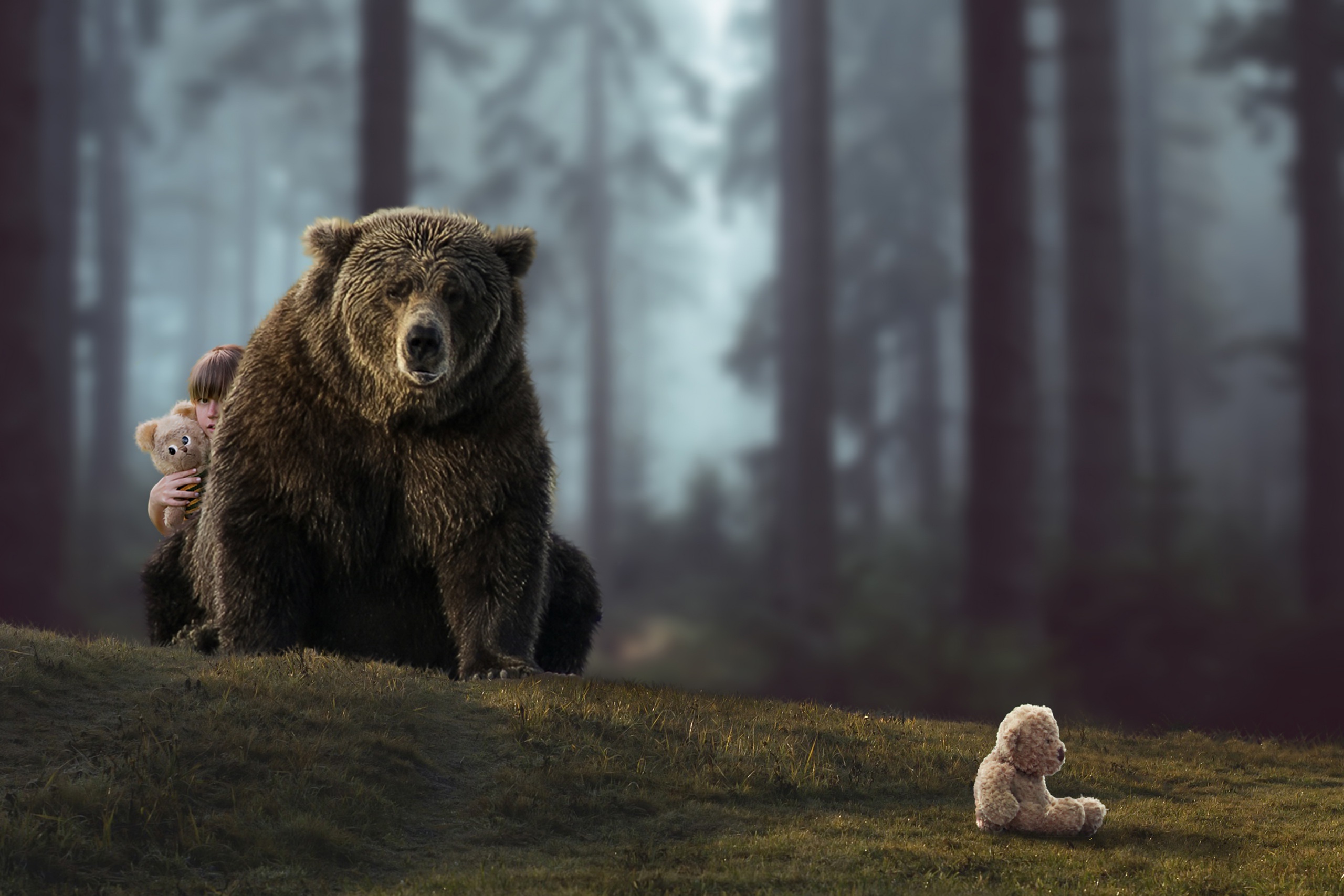 Обои лес, ситуация, медведь, мишки, девочка, forest, the situation, bear, bears, girl разрешение 2560x1707 Загрузить