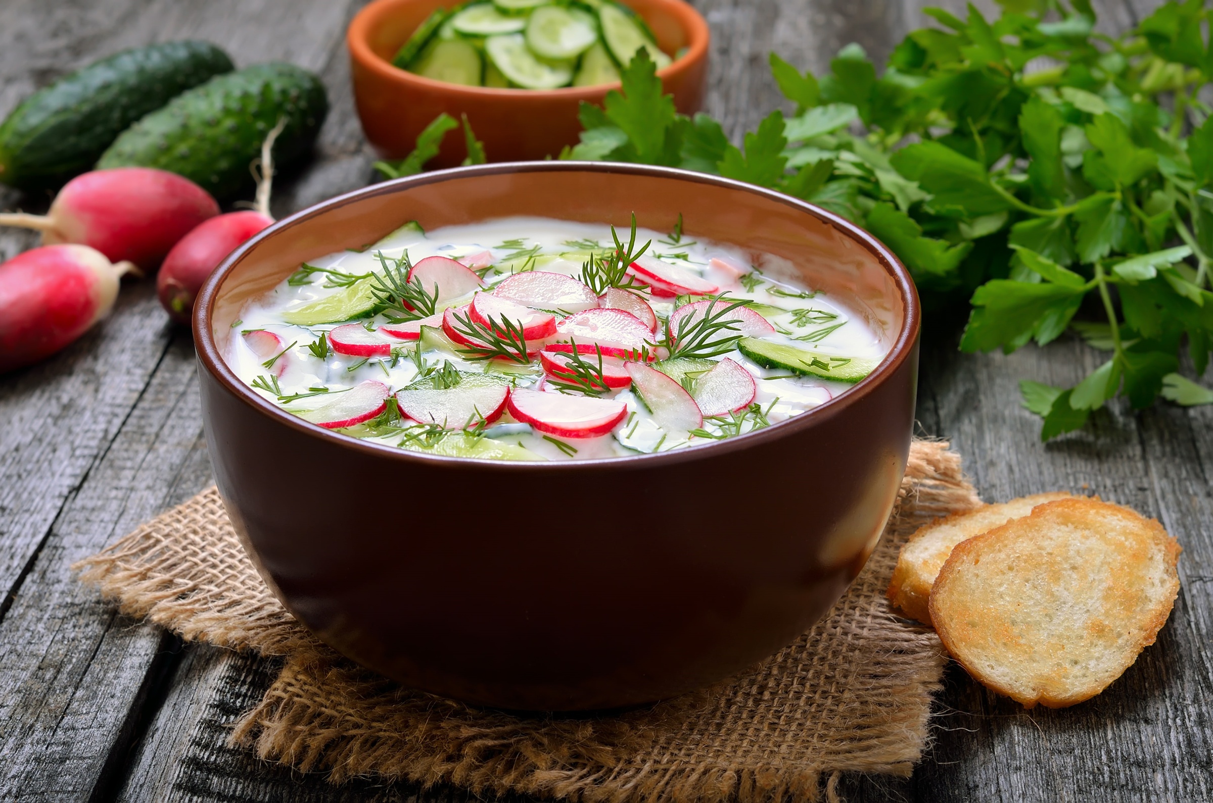 Обои укроп, миска, петрушка, огурец, редис, окрошка, dill, bowl, parsley, cucumber, radishes, hash разрешение 2400x1590 Загрузить