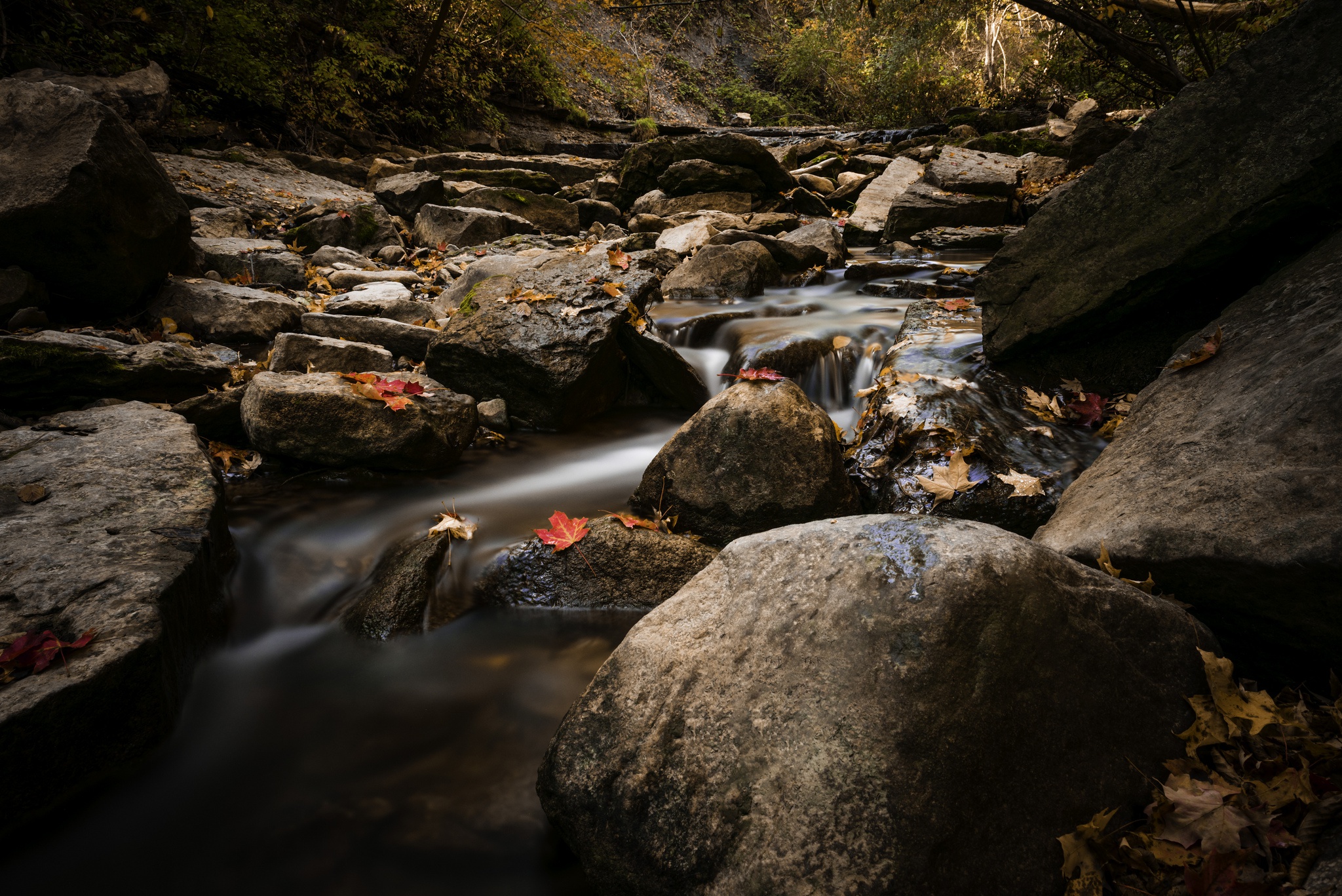 Обои вода, природа, камни, листья, ручей, осень, water, nature, stones, leaves, stream, autumn разрешение 2048x1367 Загрузить