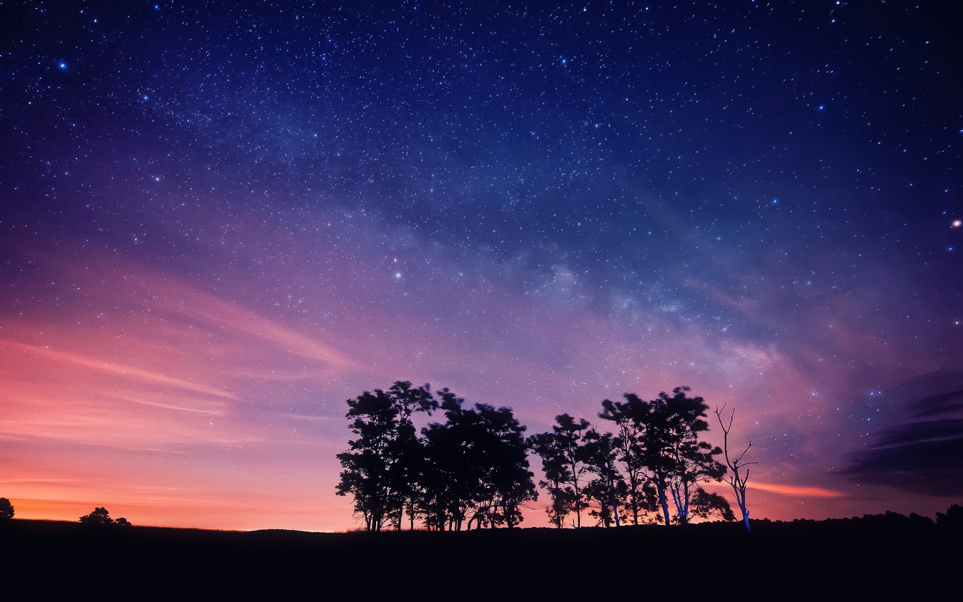 Обои небо, ночь, деревья, закат, звезды, силуэты, the sky, night, trees, sunset, stars, silhouettes разрешение 1920x1200 Загрузить