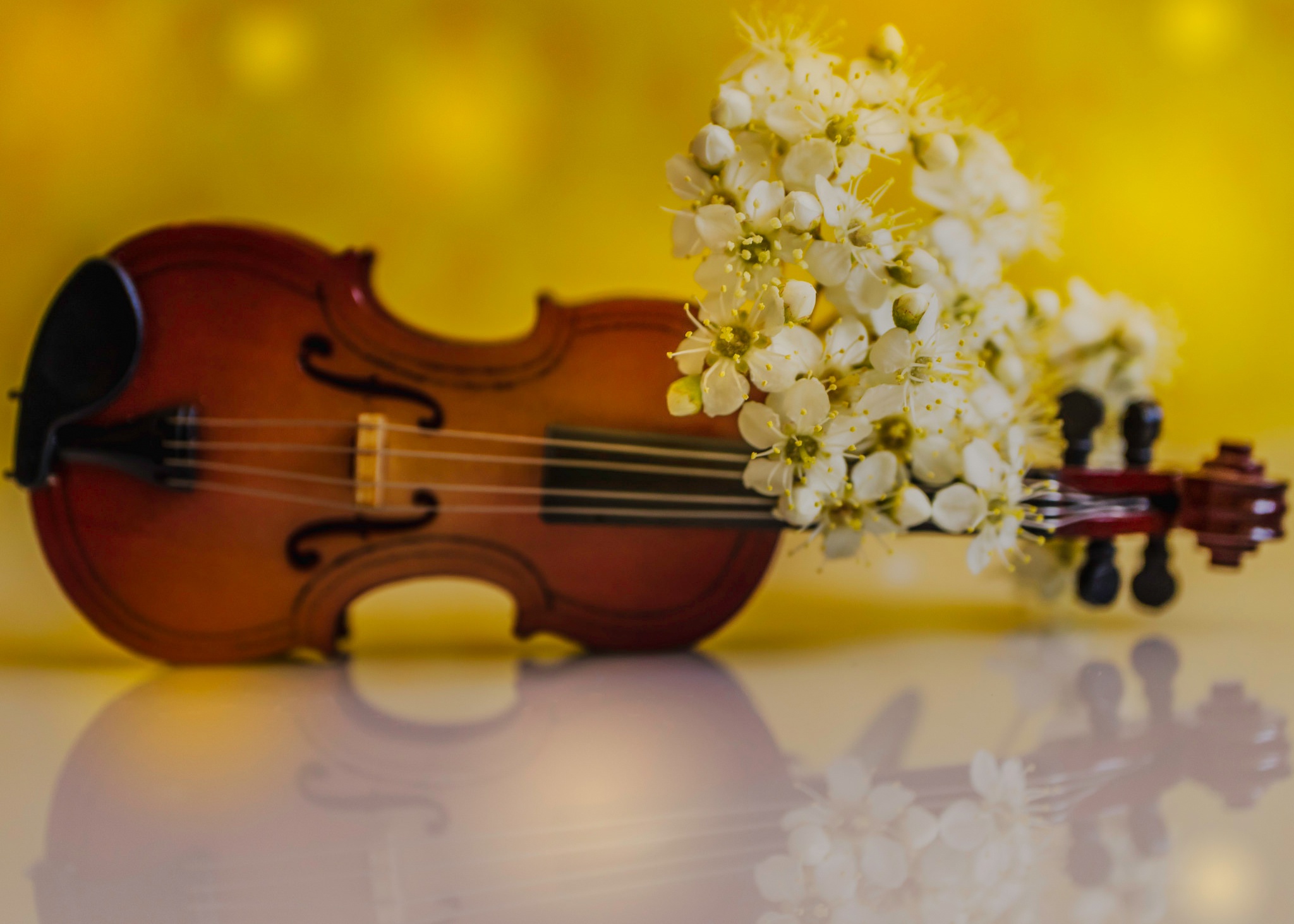 Песни для весеннего настроения. Скрипка и цветы. Красивые музыкальные инструменты. Музыкальные инструменты и цветы. Скрипка с цветами.