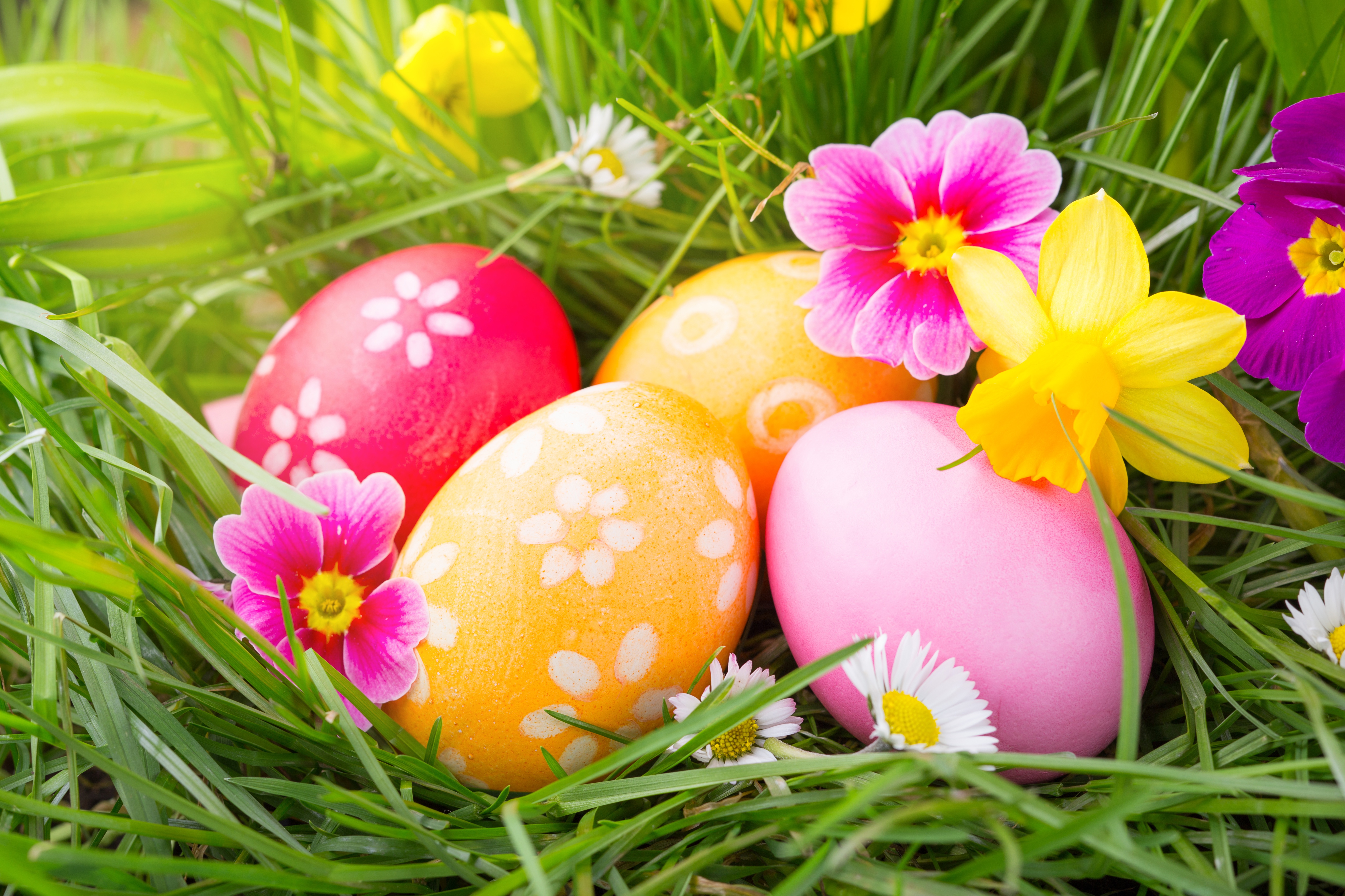 Easter праздник. Пасха. Яйцо Пасха. Пасхальное яйцо (праздник Пасхи). Цветы на Пасху.
