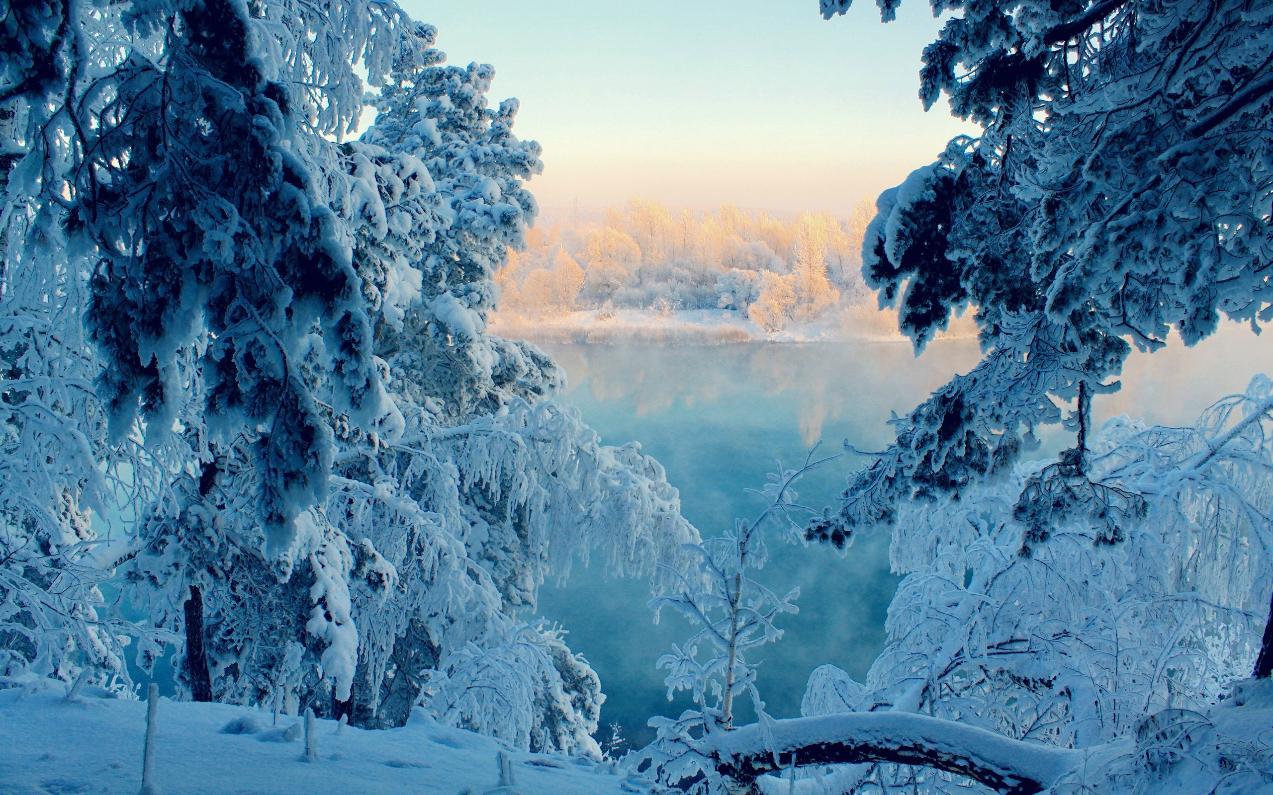 Зимняя сказка. Зимний лес. Сказочный зимний лес. Красивая зима.